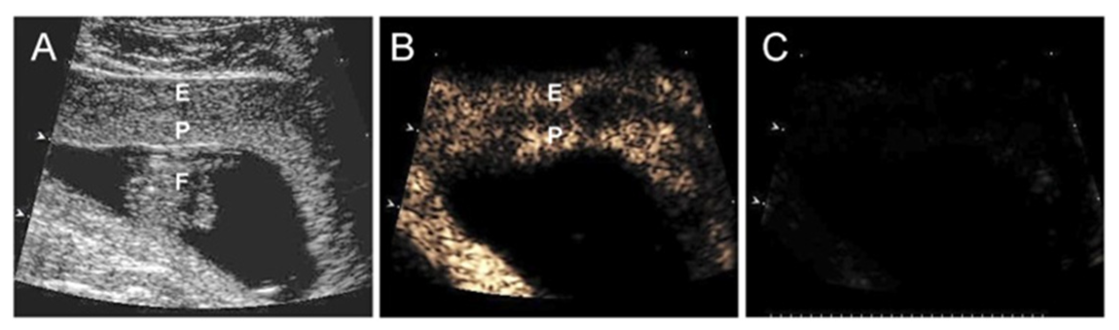 Genes 12 01255 g009 Genes 12 01255 g009