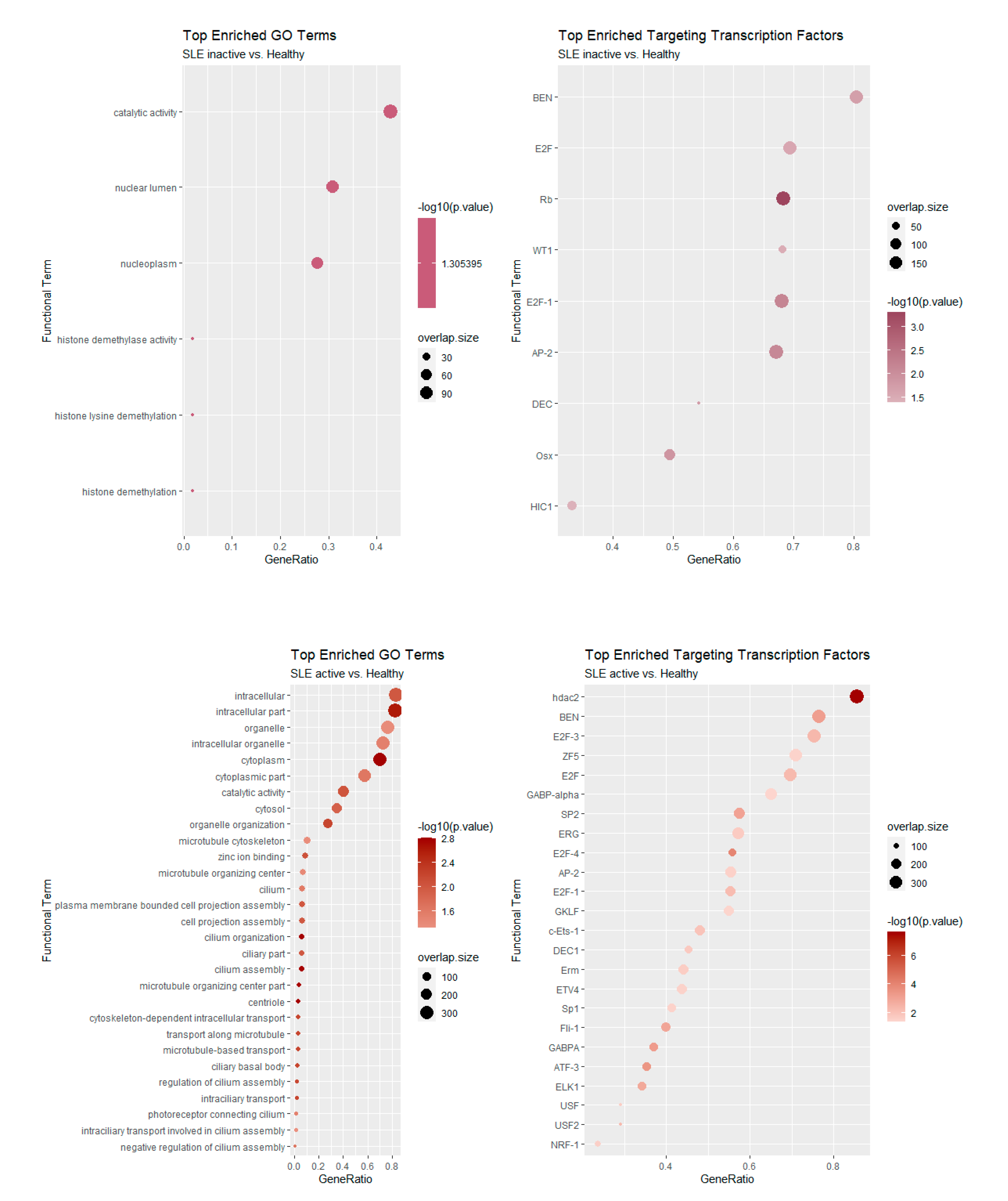 Genes 12 01260 g006 Genes 12 01260 g006