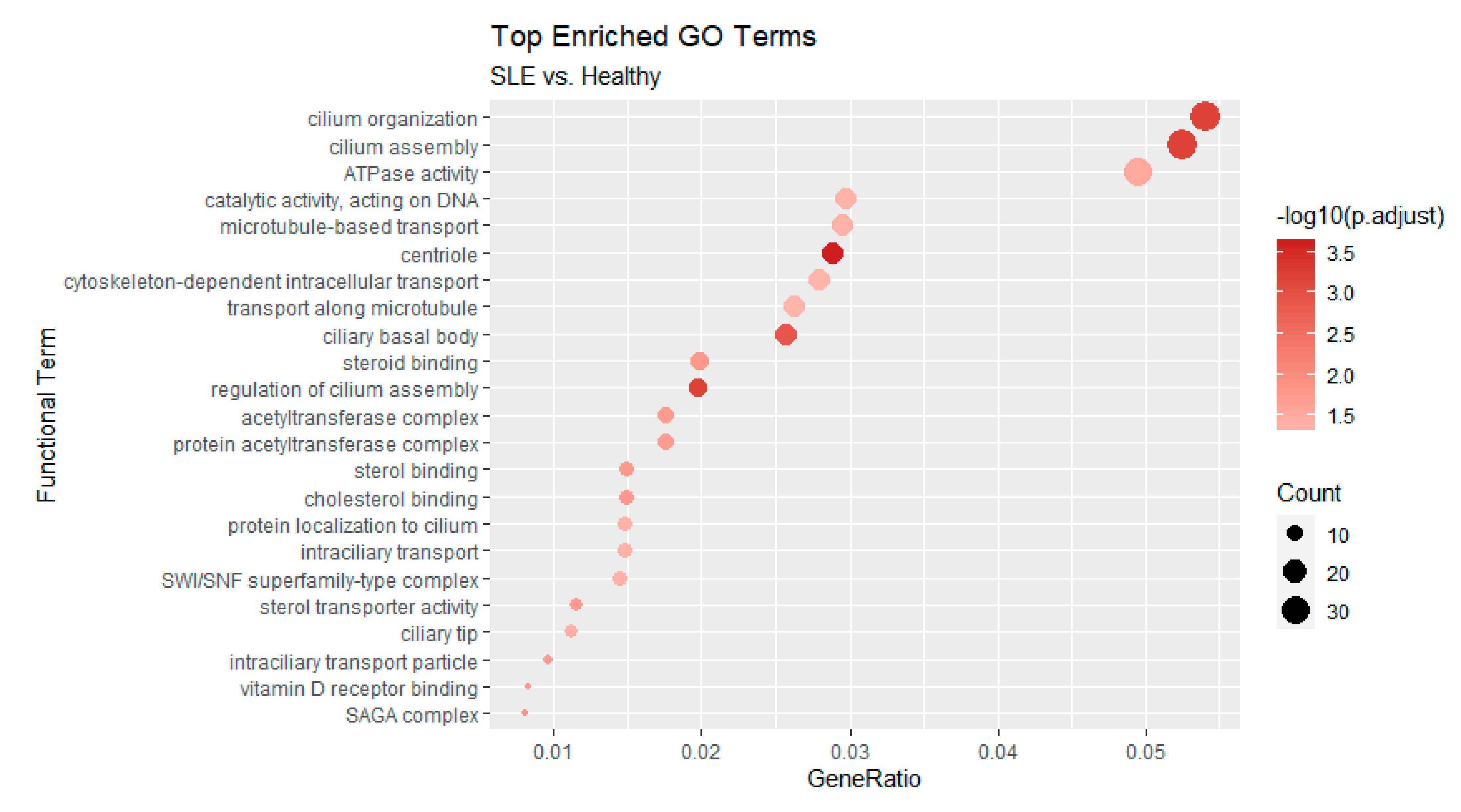 Genes 12 01260 g007 Genes 12 01260 g007