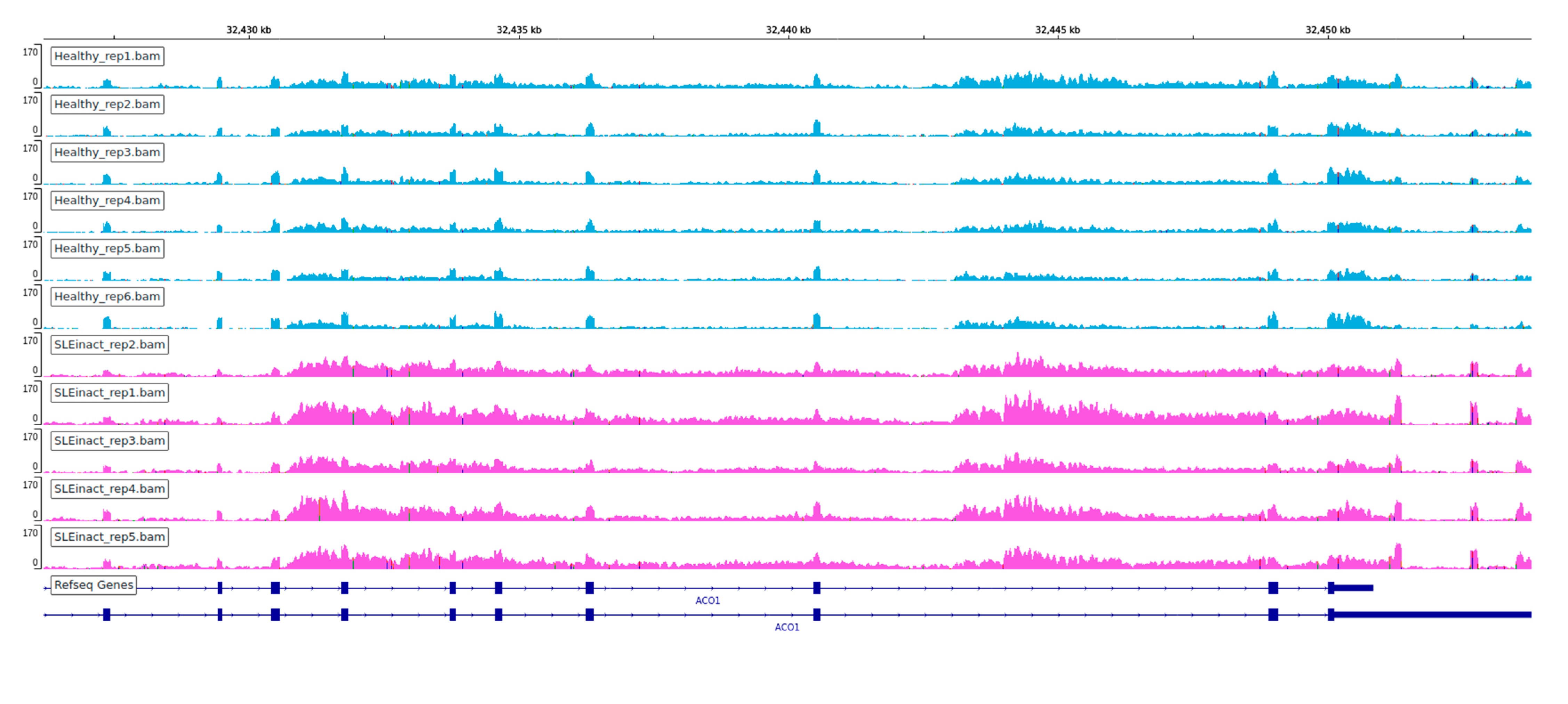 Genes 12 01260 g008a Genes 12 01260 g008a