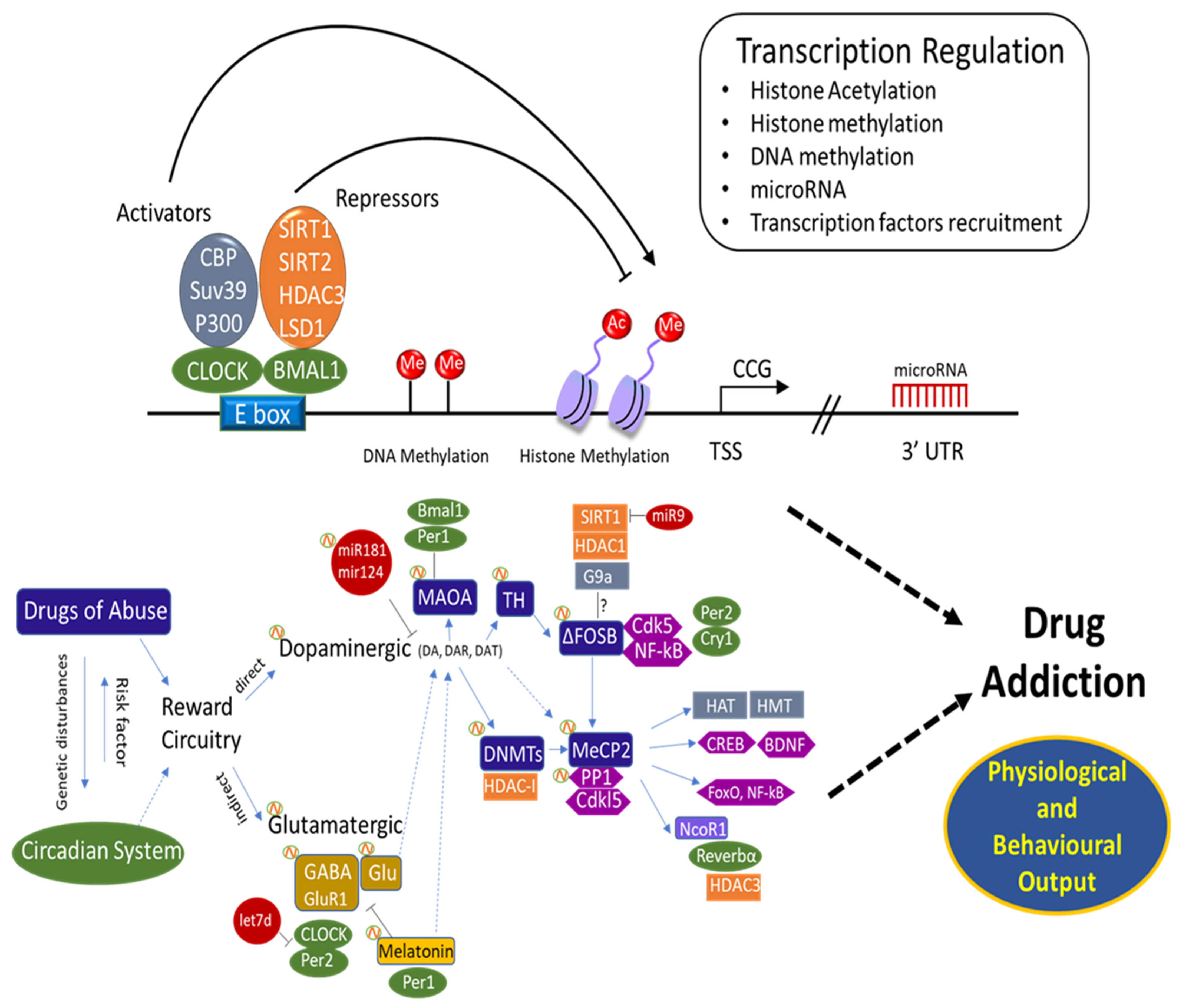 Genes 12 01263 g001 Genes 12 01263 g001