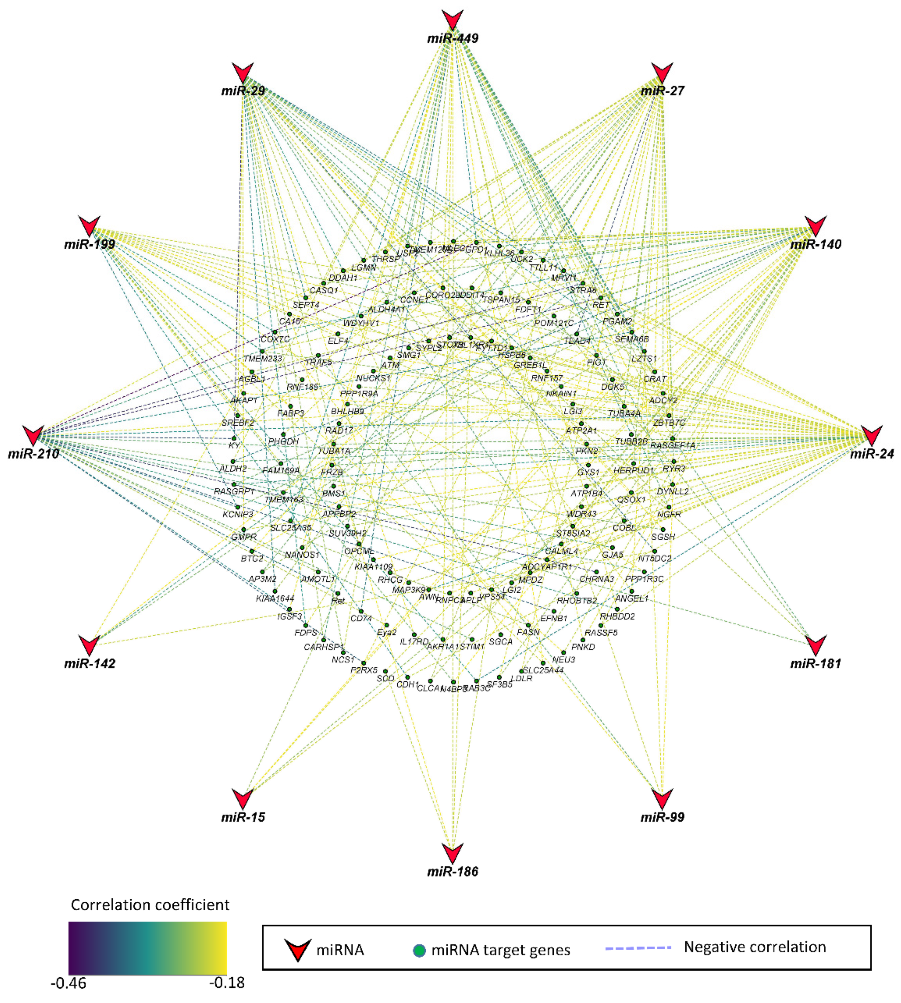 Genes 12 01264 g002 550
