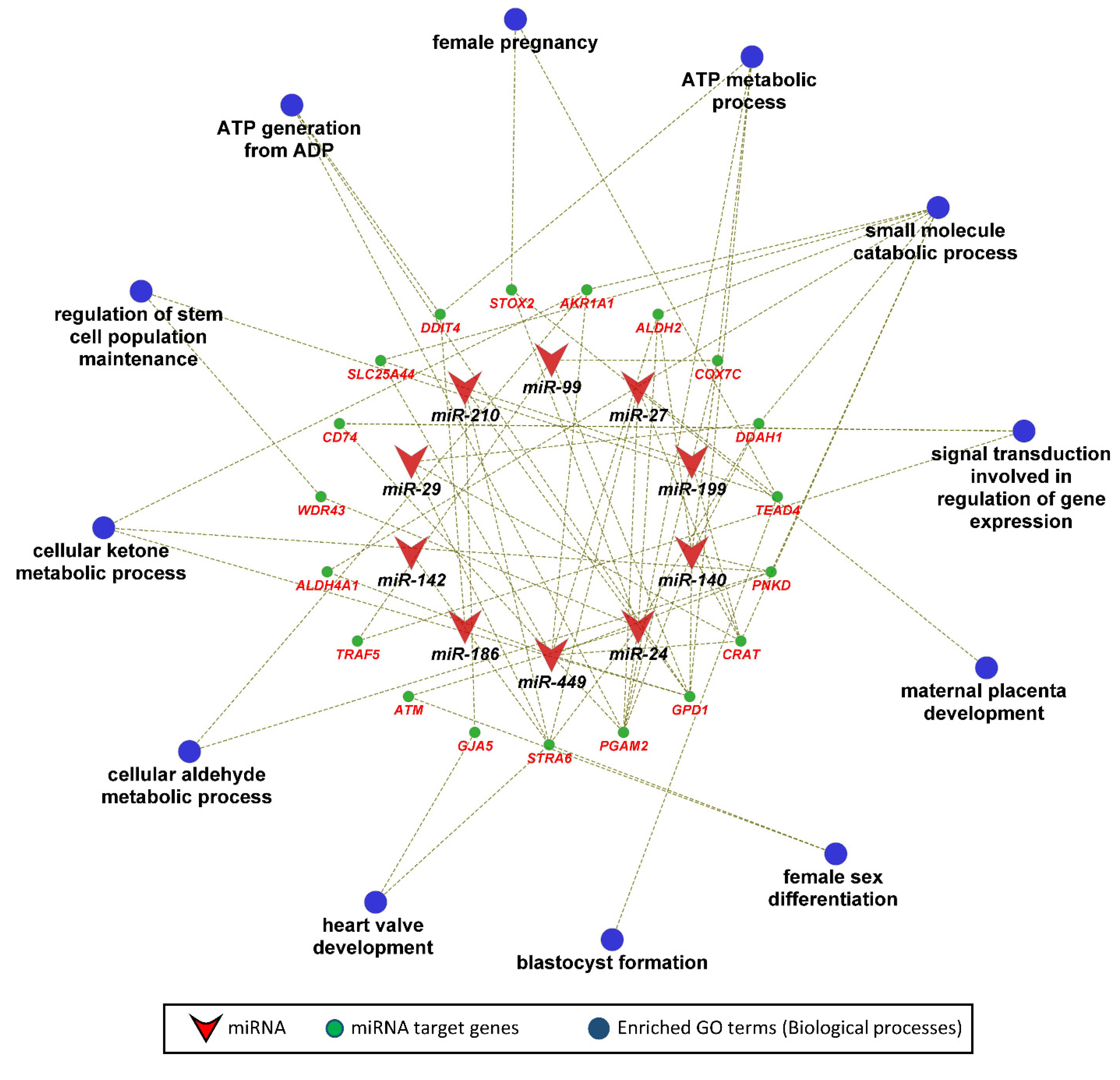 Genes 12 01264 g006 550