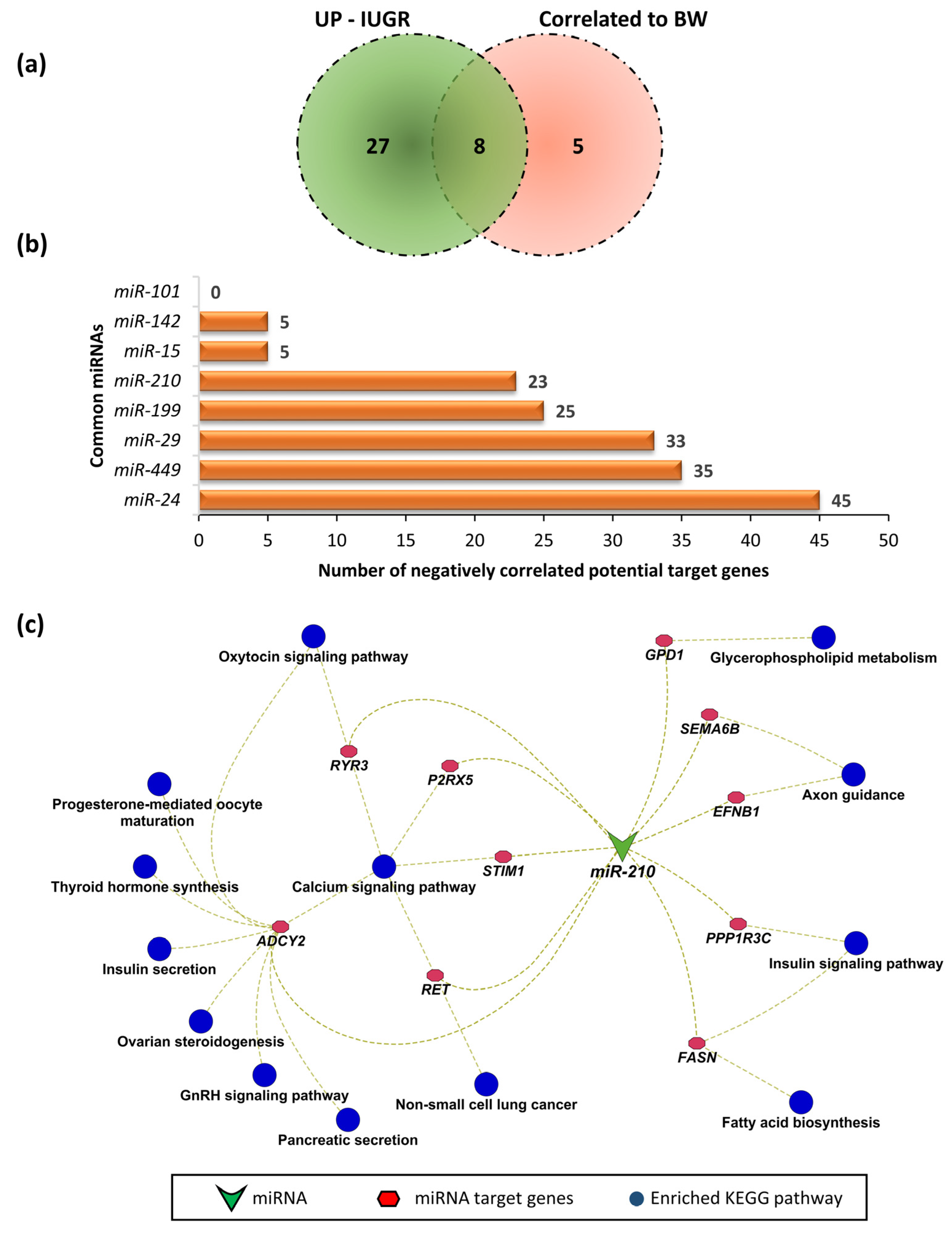 Genes 12 01264 g007 550