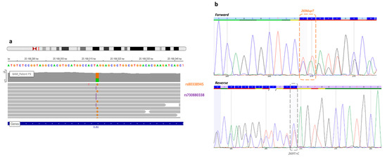 Genes 12 01267 g001 550