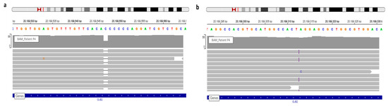 Genes 12 01267 g002 550