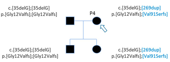 Genes 12 01267 g003 550