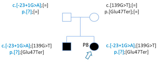 Genes 12 01267 g005 550