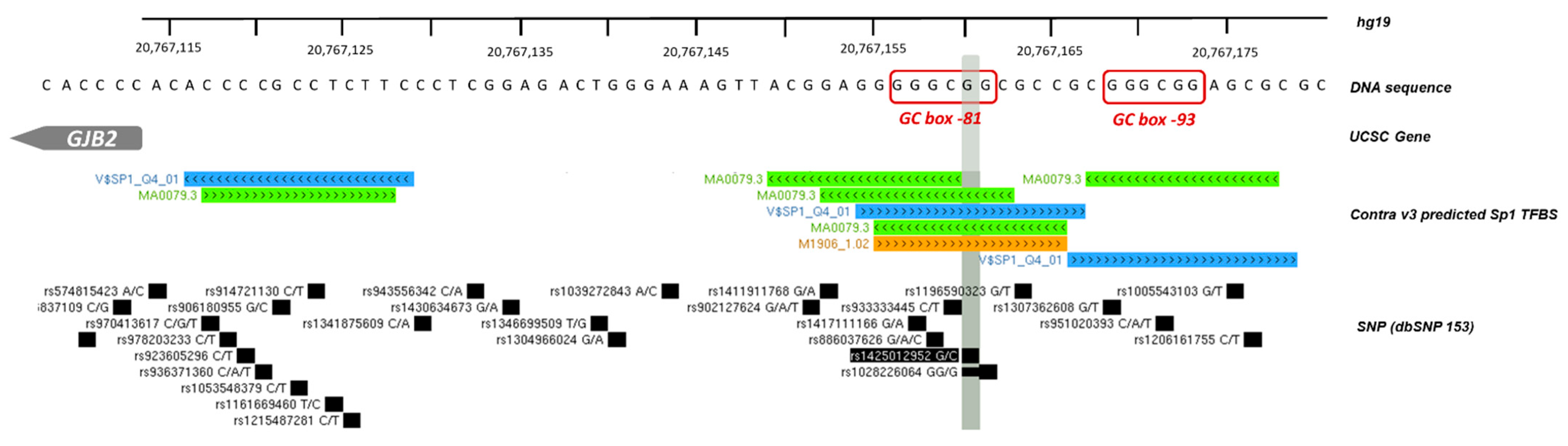 Genes 12 01267 g006