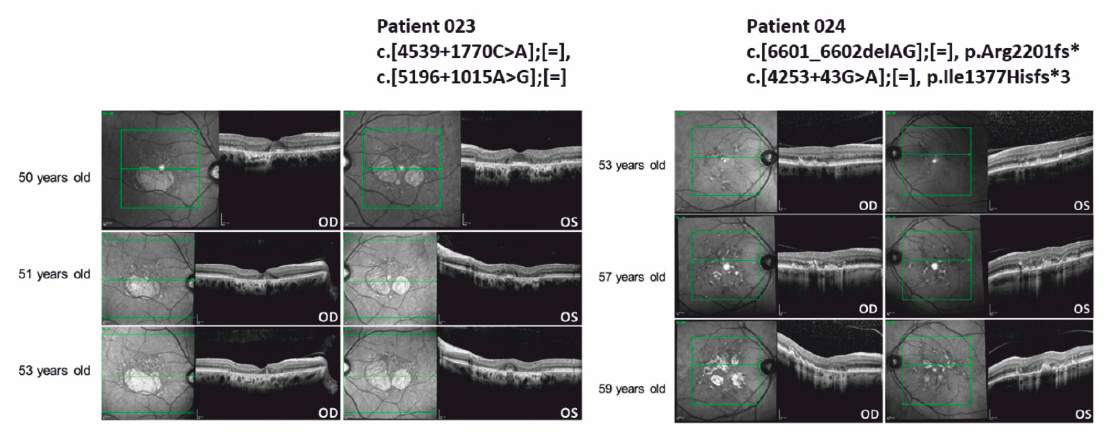 Genes 12 01269 g004 550