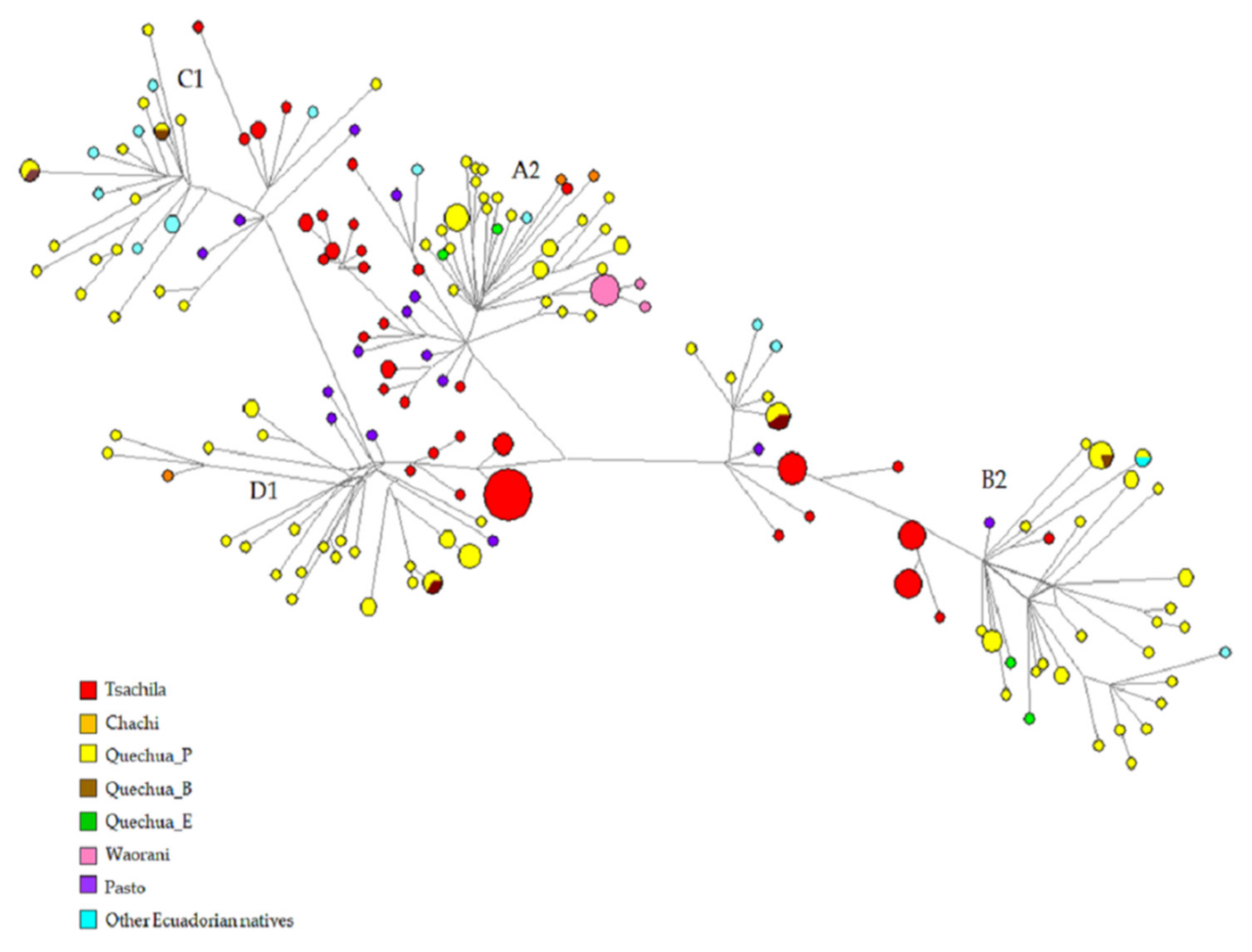 Genes 12 01273 g002