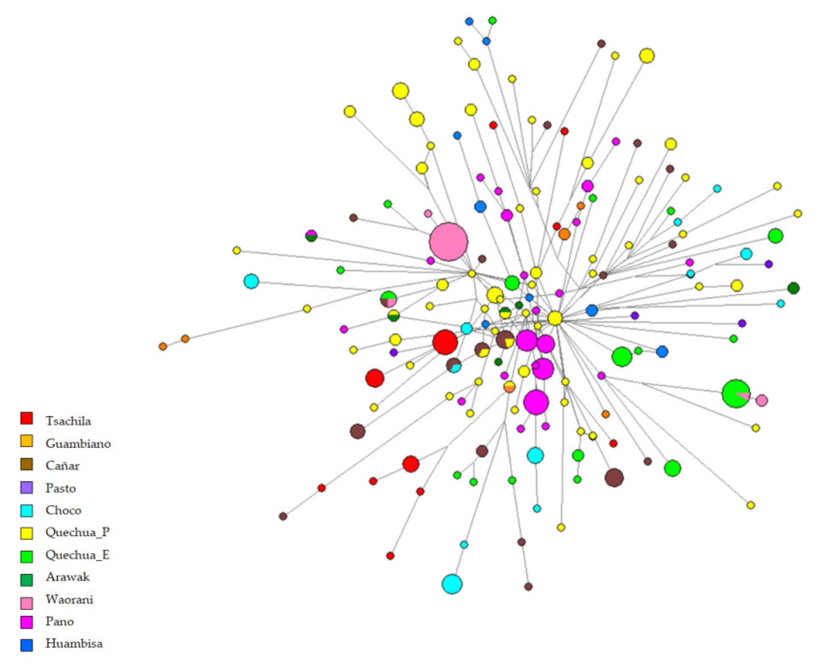 Genes 12 01273 g004