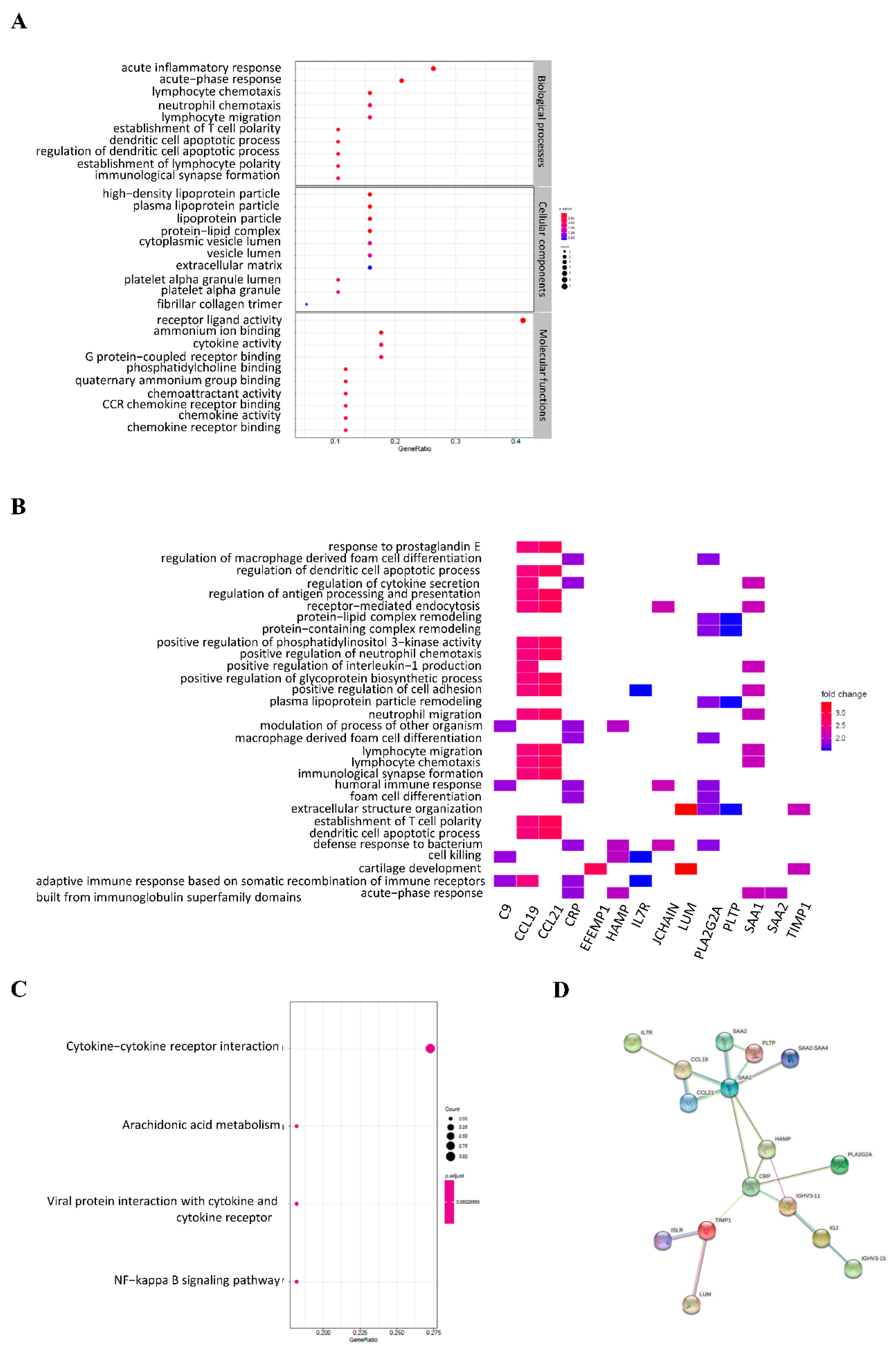 Genes 12 01274 g004 550