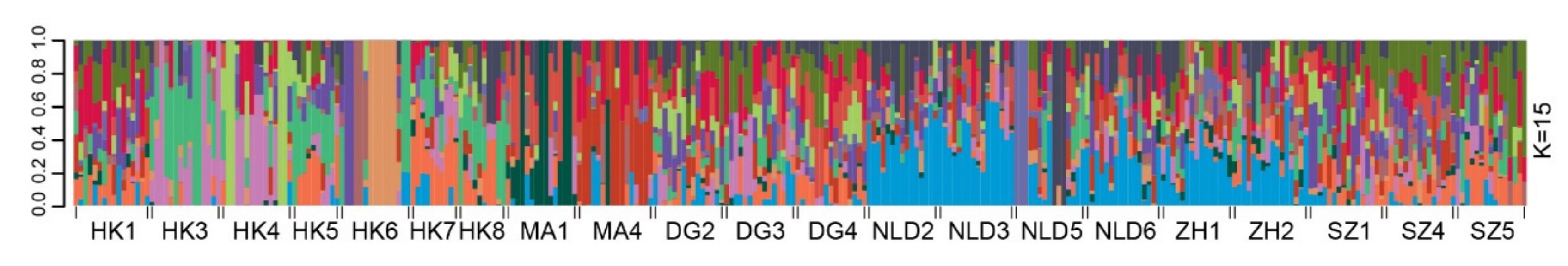 Genes 12 01279 g003 Genes 12 01279 g003