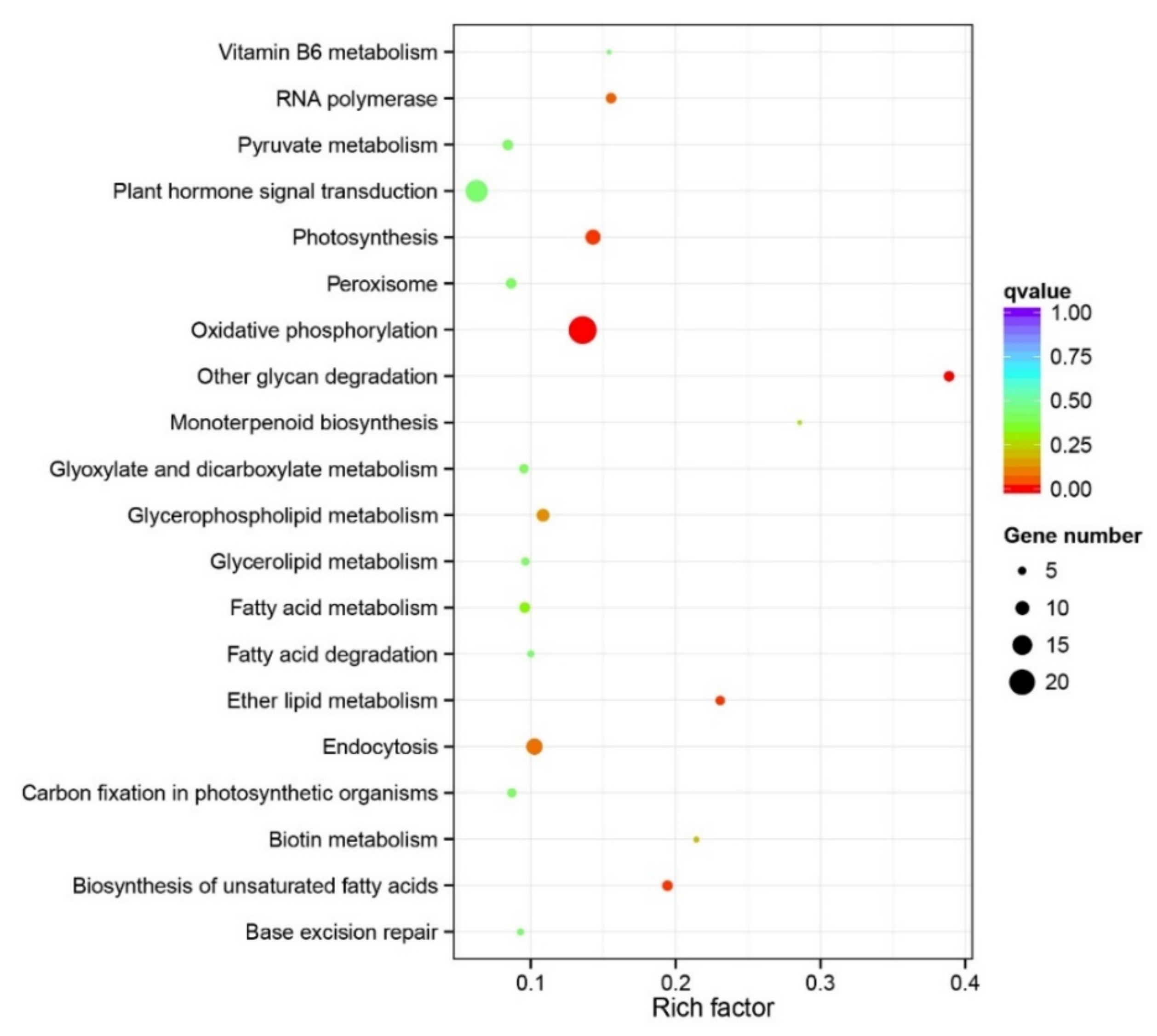 Genes 12 01279 g005 Genes 12 01279 g005