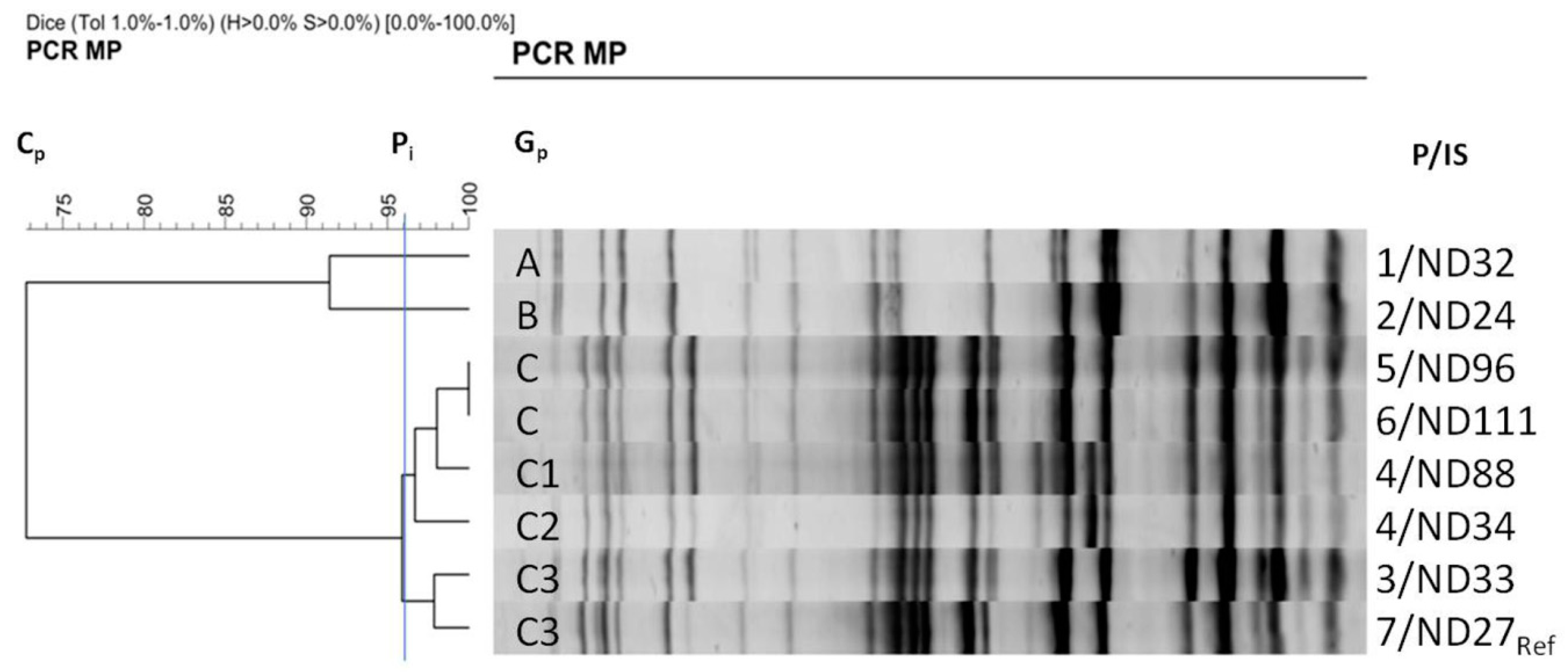 Genes 12 01285 g001 Genes 12 01285 g001