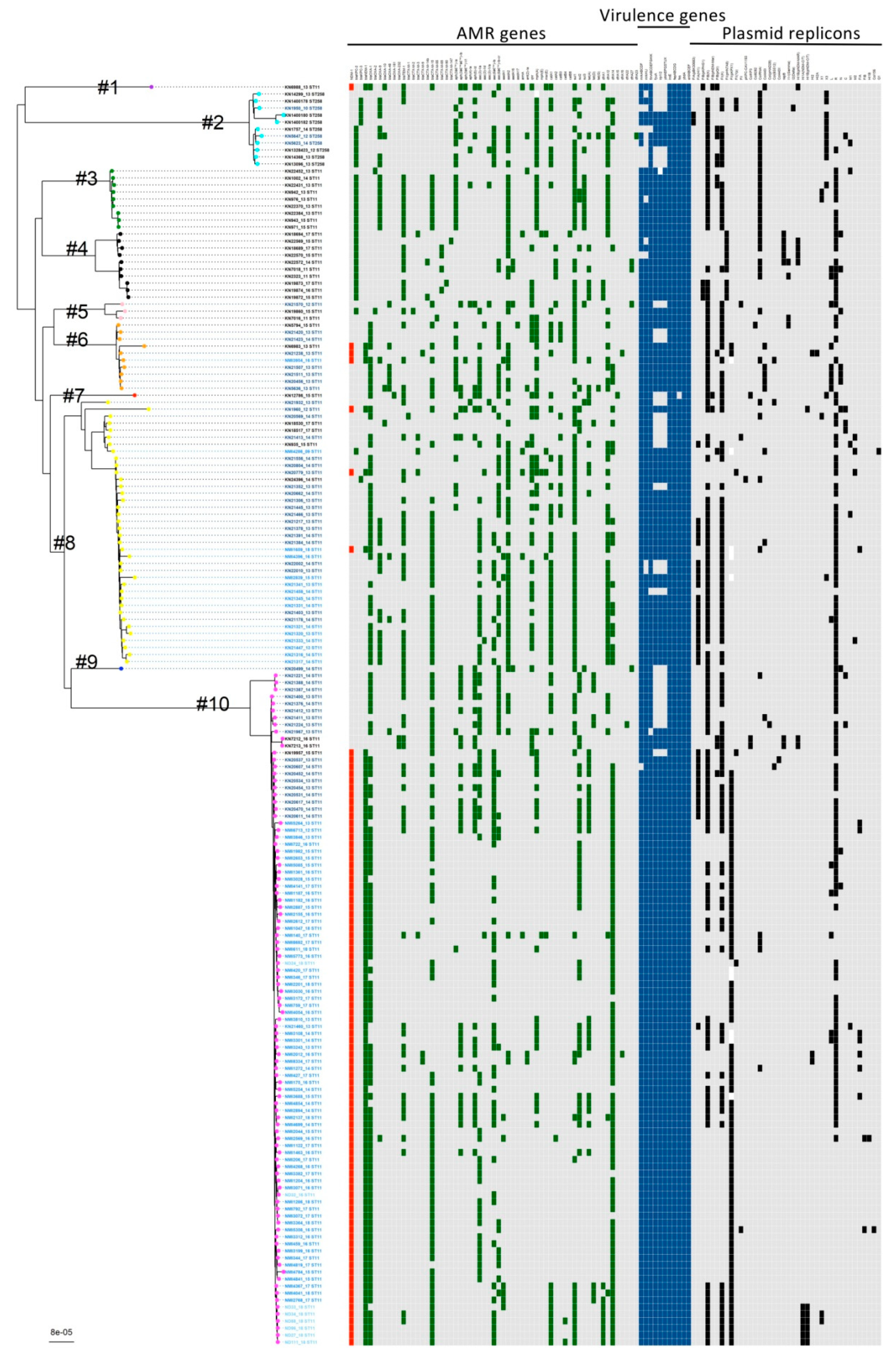 Genes 12 01285 g002 Genes 12 01285 g002