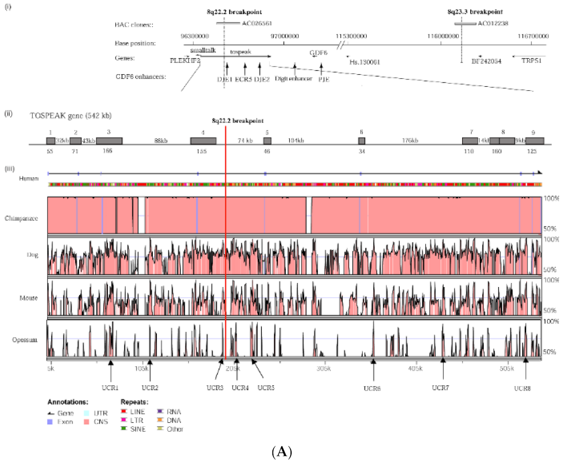 Genes 12 01290 g003a