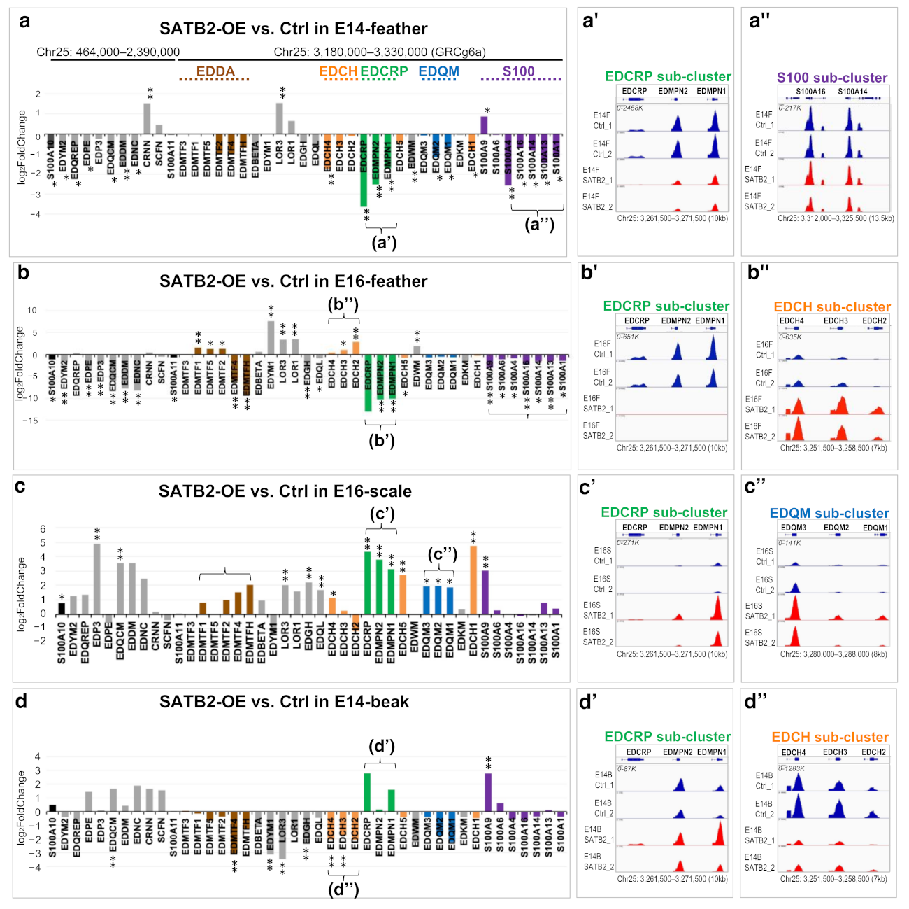 Genes 12 01291 g003 550
