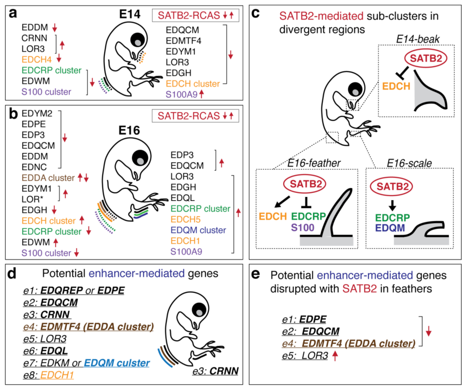 Genes 12 01291 g006 550