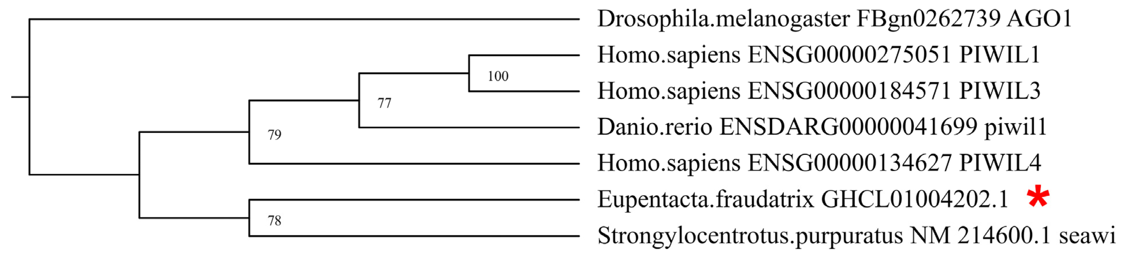 Genes 12 01292 g001 550