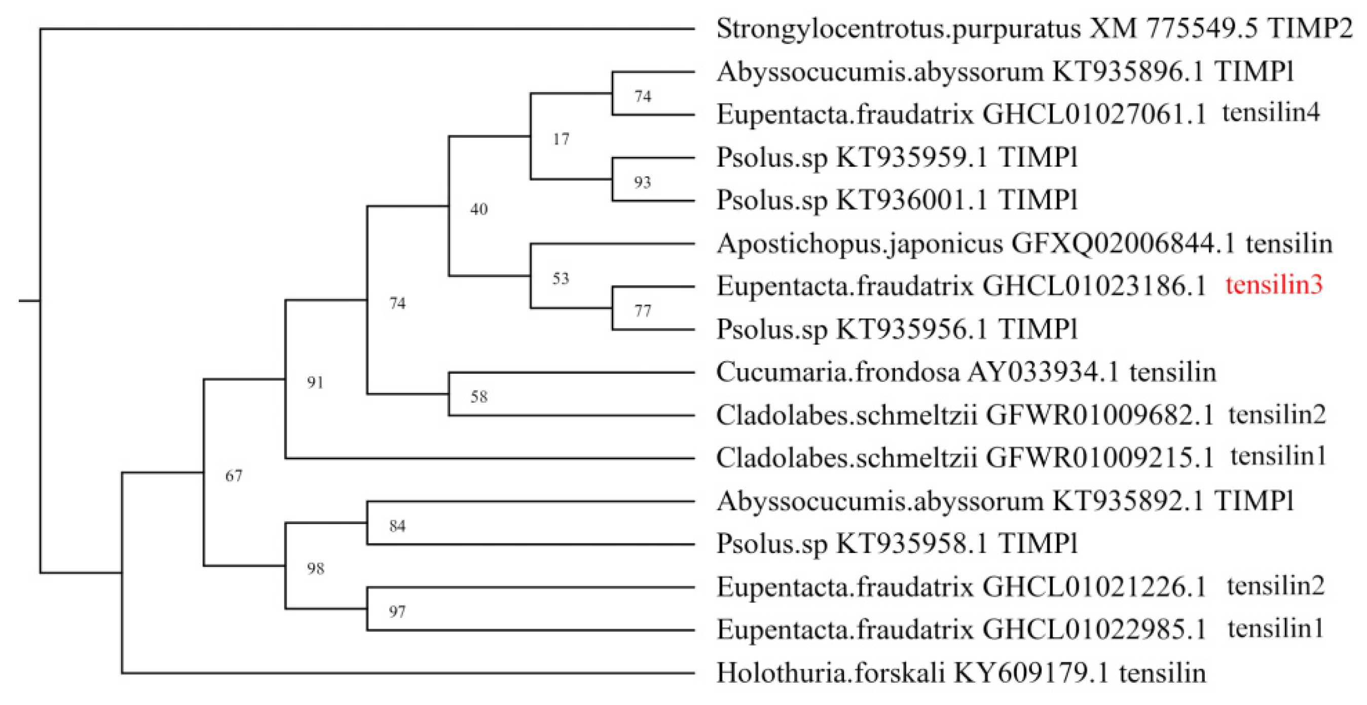 Genes 12 01292 g002 550