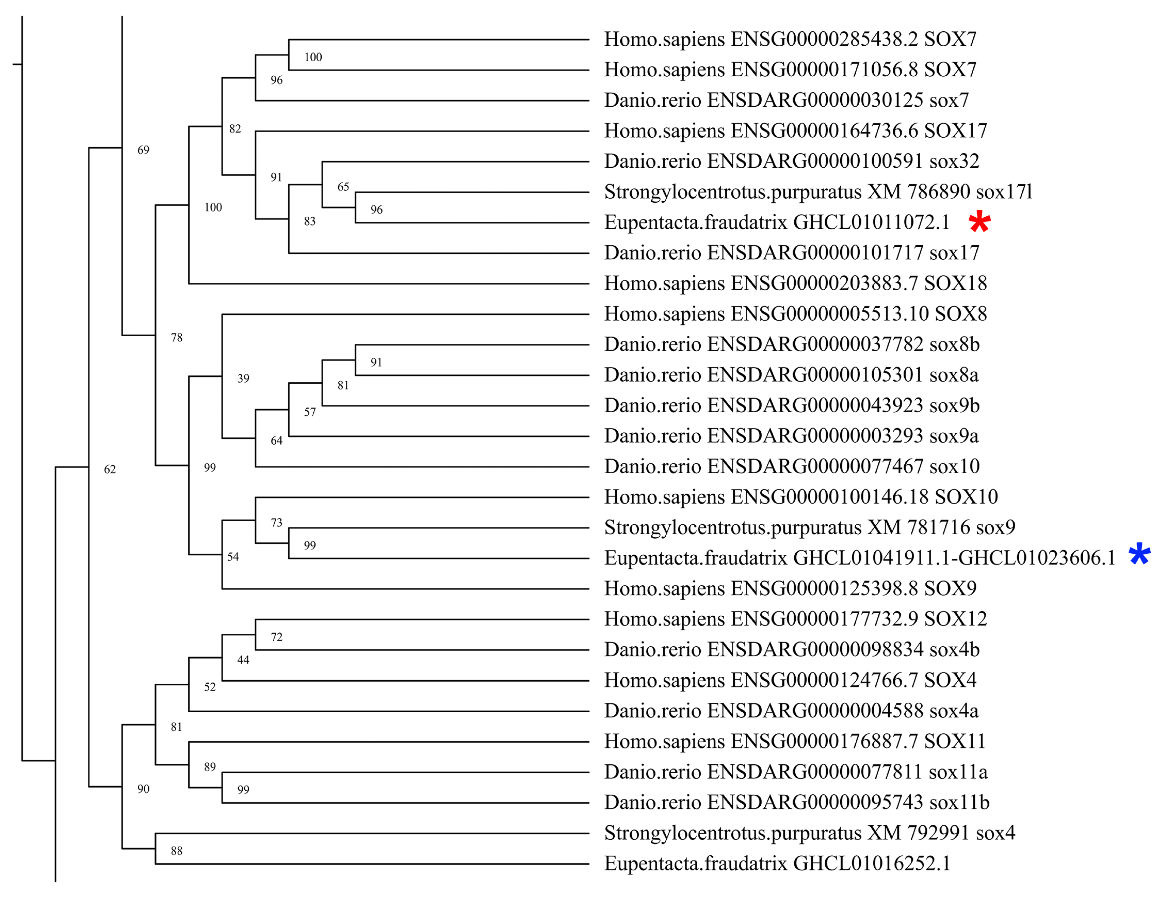 Genes 12 01292 g003 550