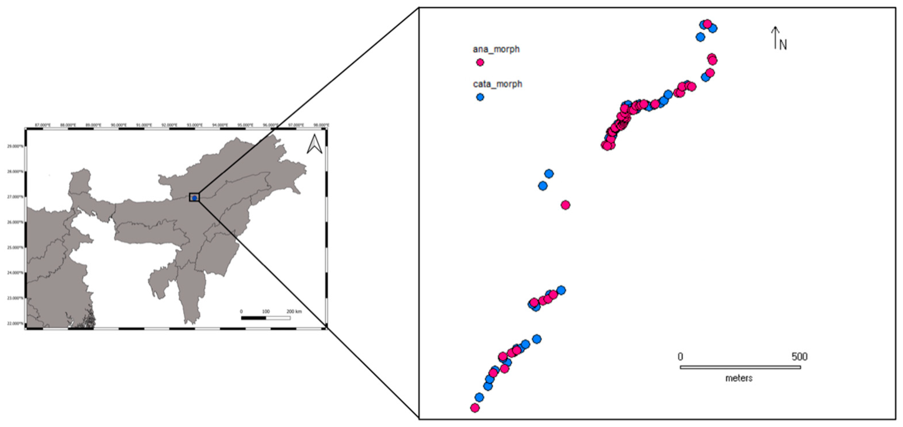 Genes 12 01297 g003 Genes 12 01297 g003
