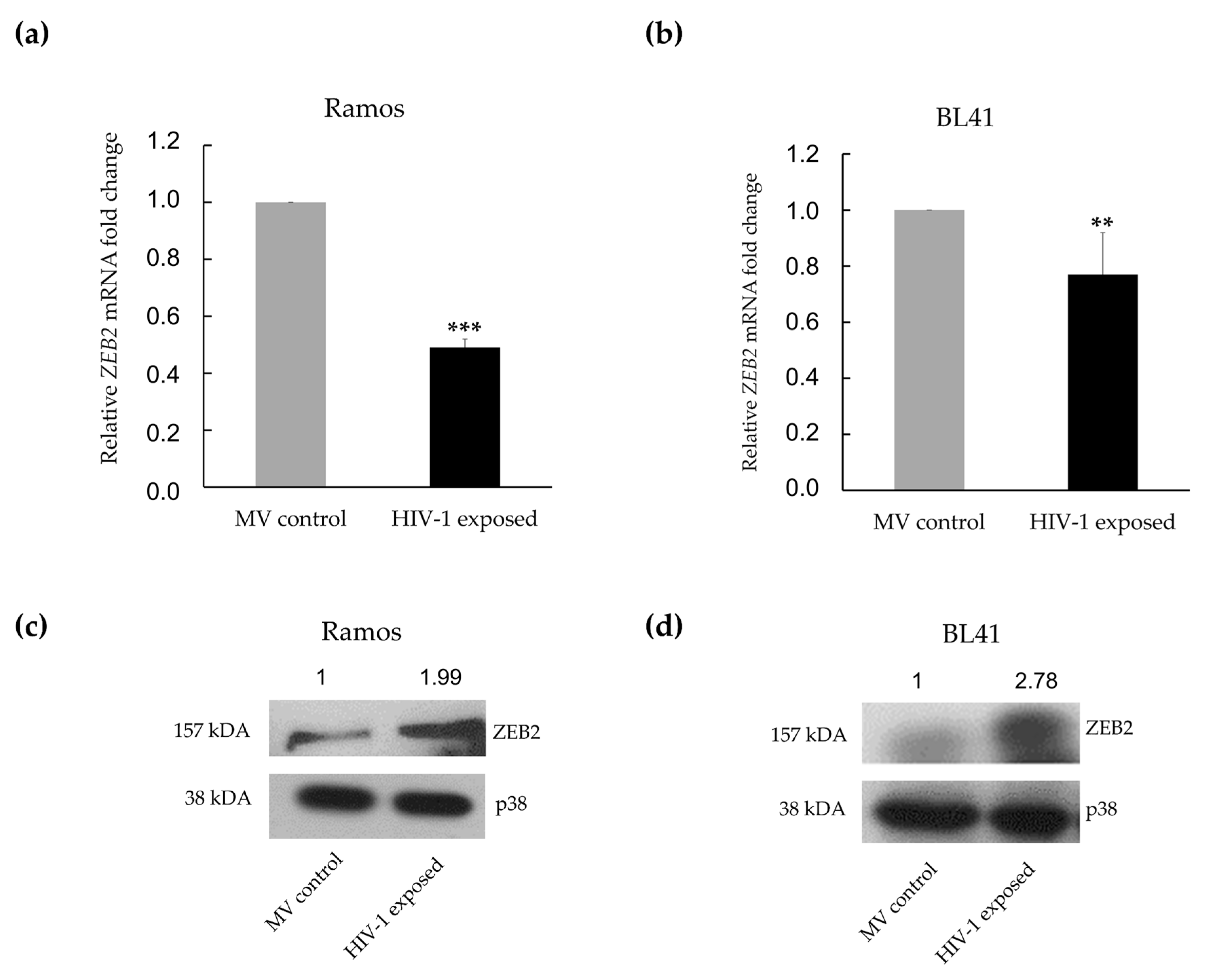 Genes 12 01302 g005 550
