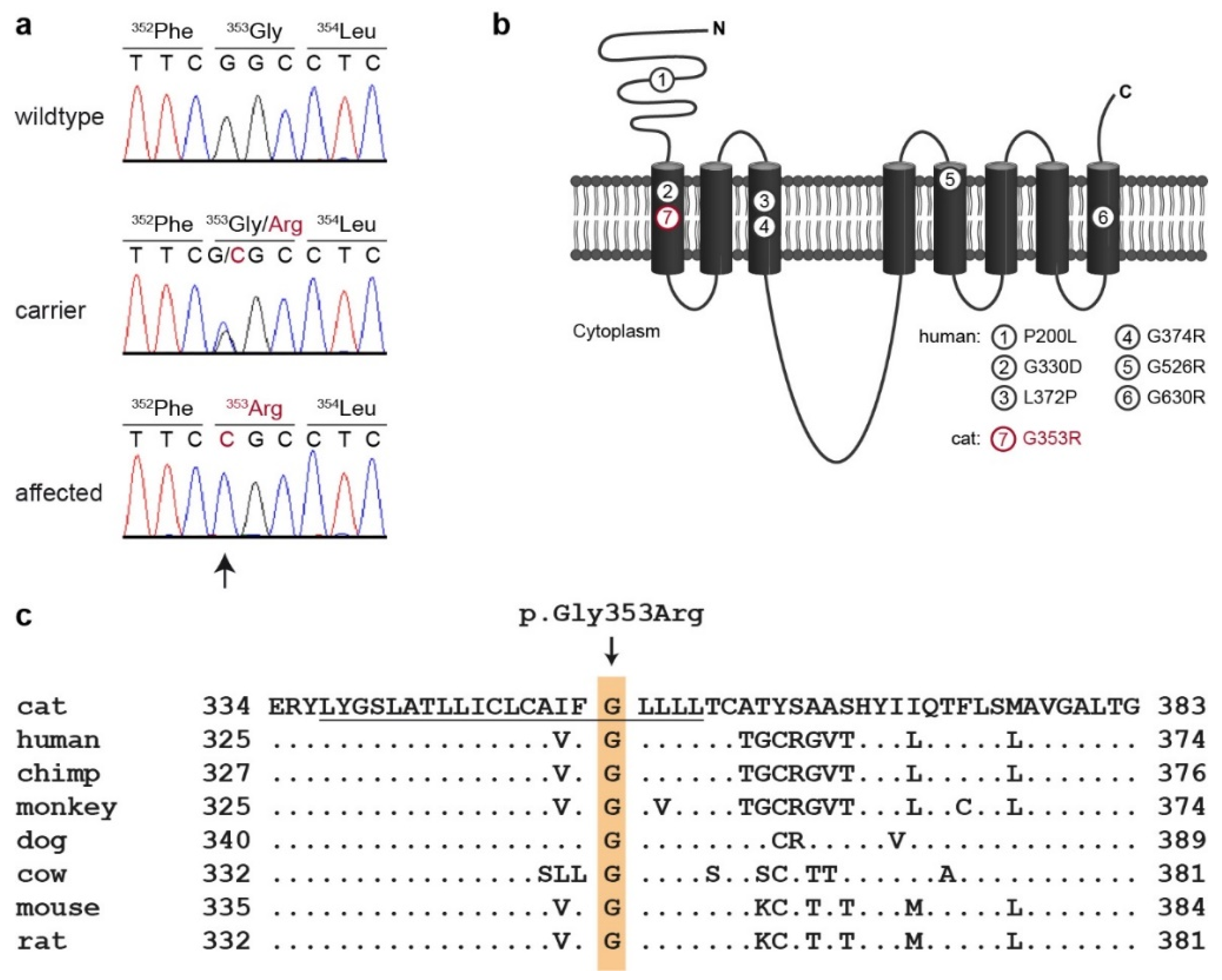 Genes 12 01309 g004
