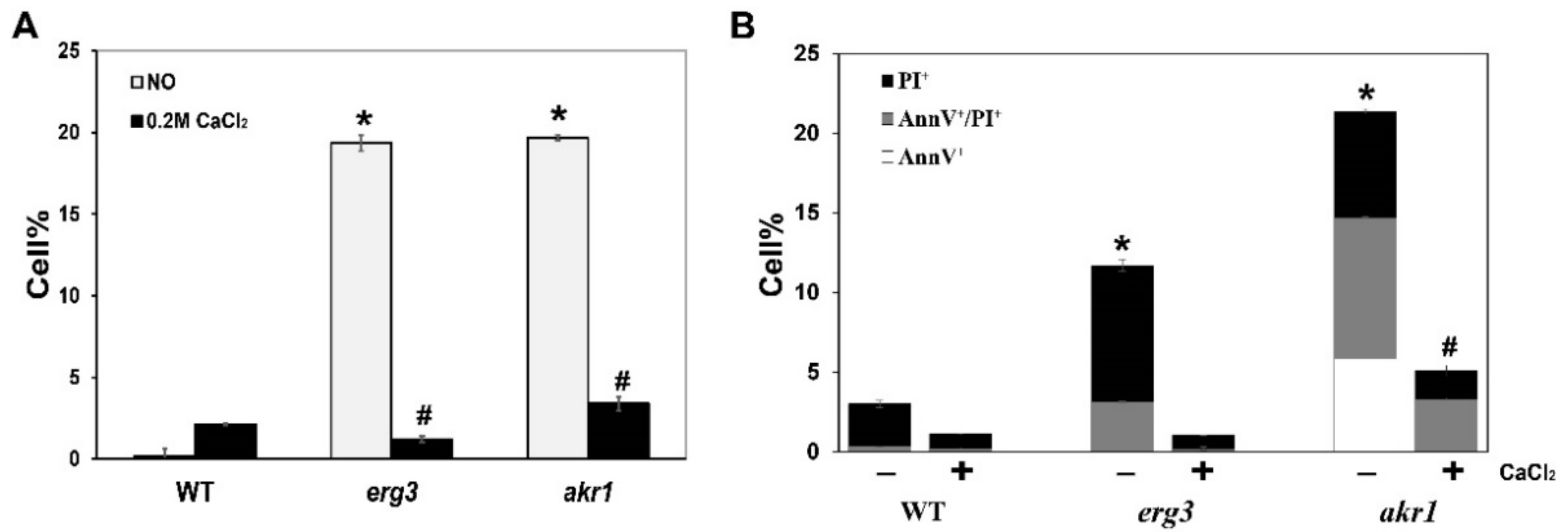 Genes 12 01311 g001 Genes 12 01311 g001
