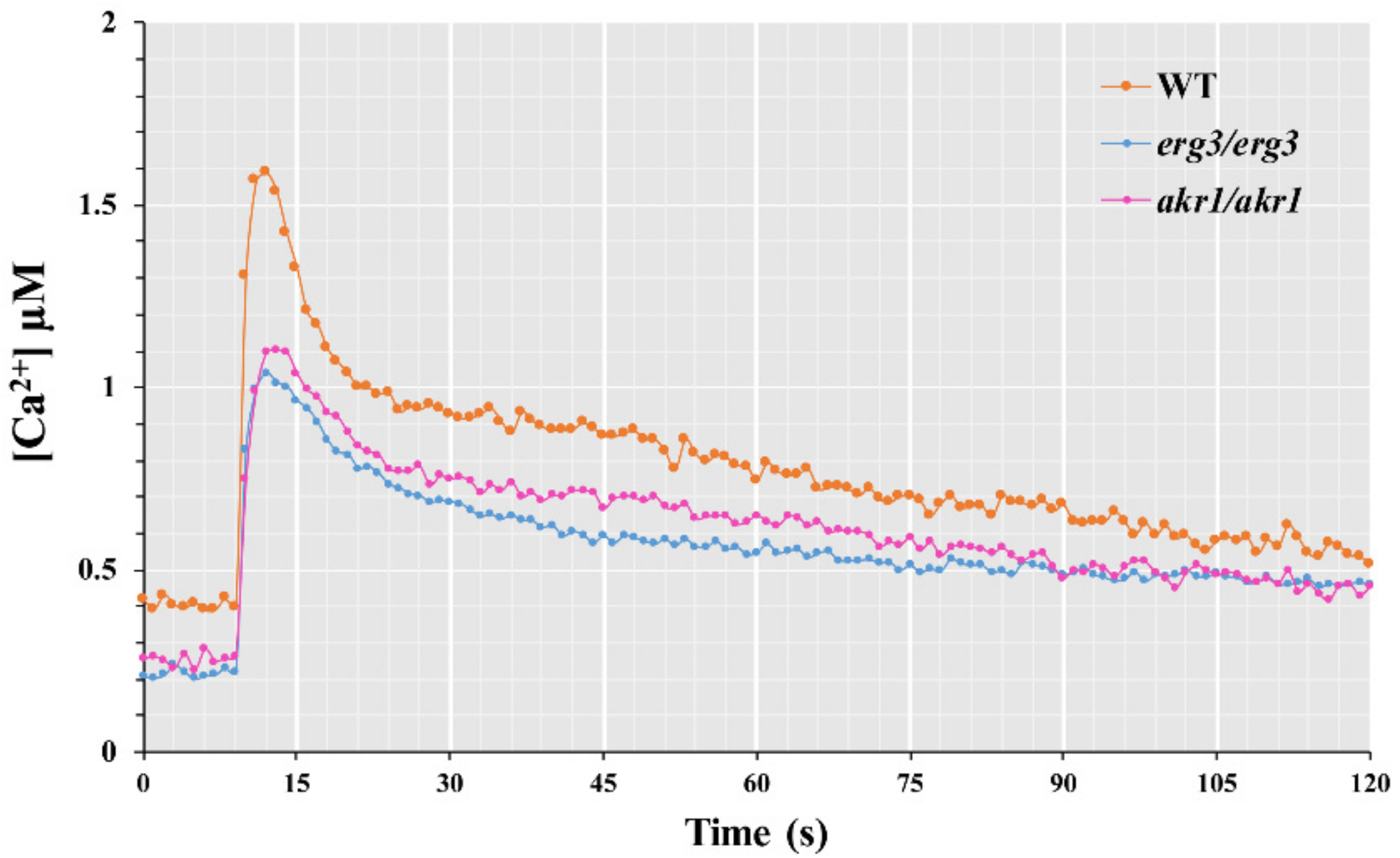 Genes 12 01311 g005 Genes 12 01311 g005