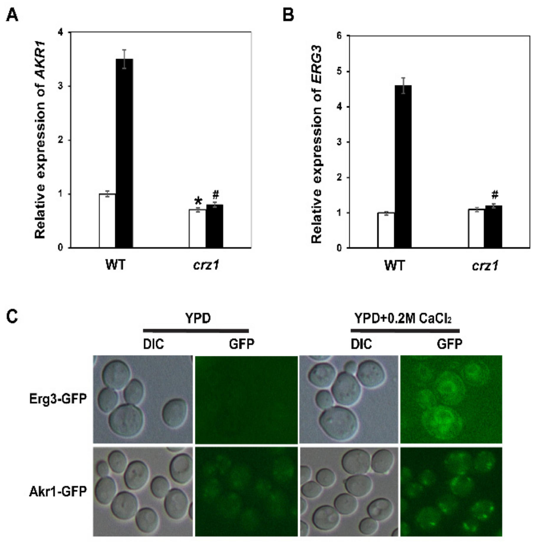 Genes 12 01311 g006 Genes 12 01311 g006