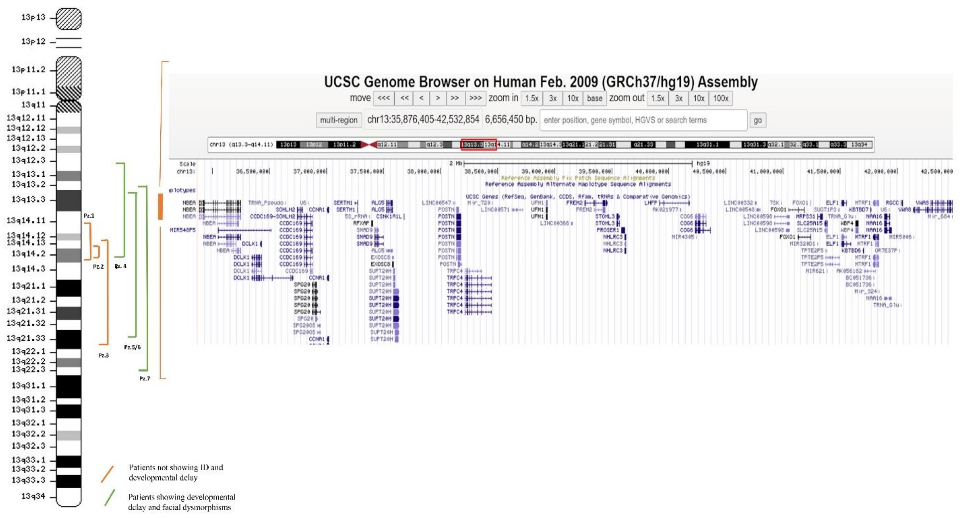 Genes 12 01318 g001 550