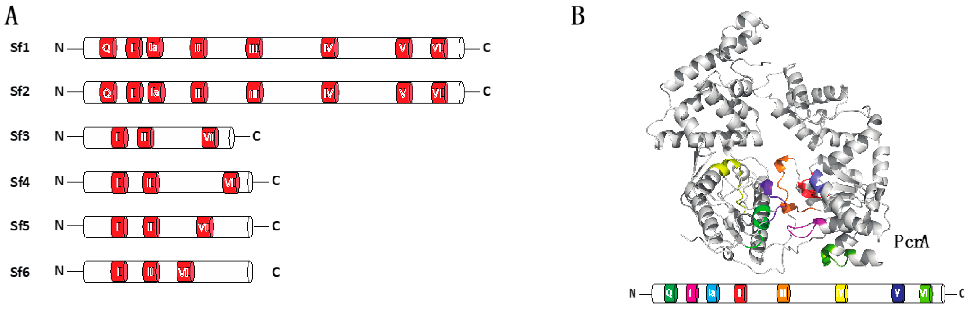 Genes 12 01319 g001 Genes 12 01319 g001