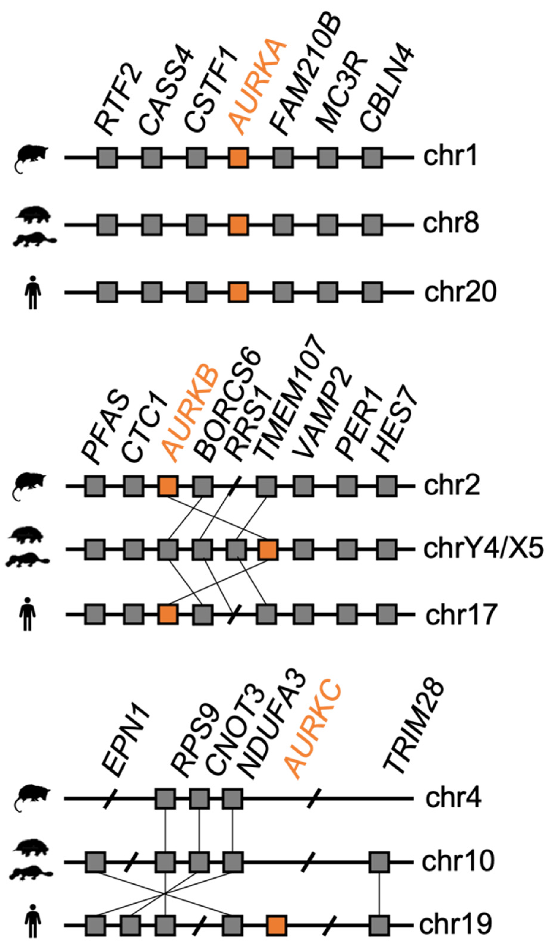 Genes 12 01320 g002 550