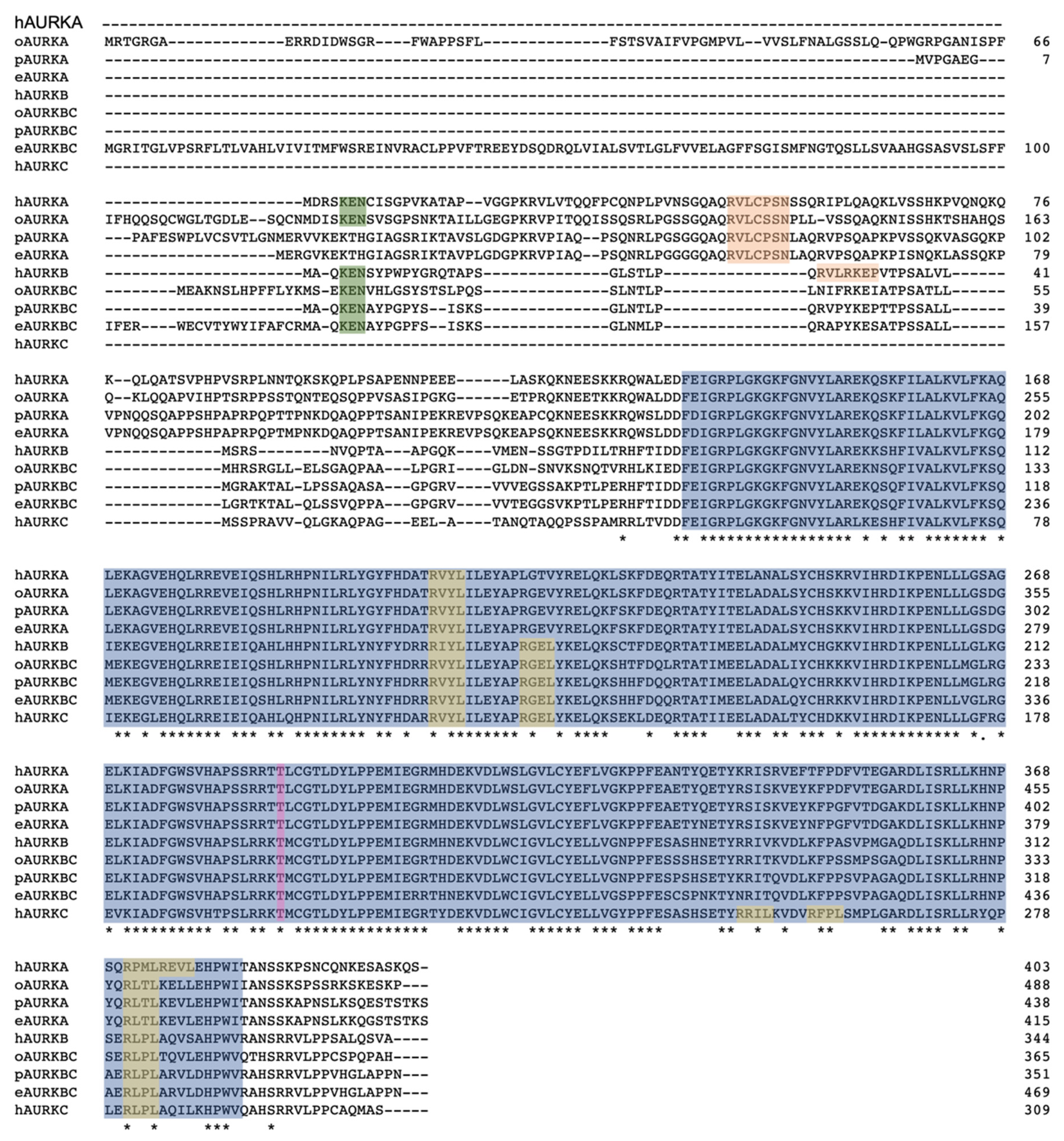 Genes 12 01320 g003 550