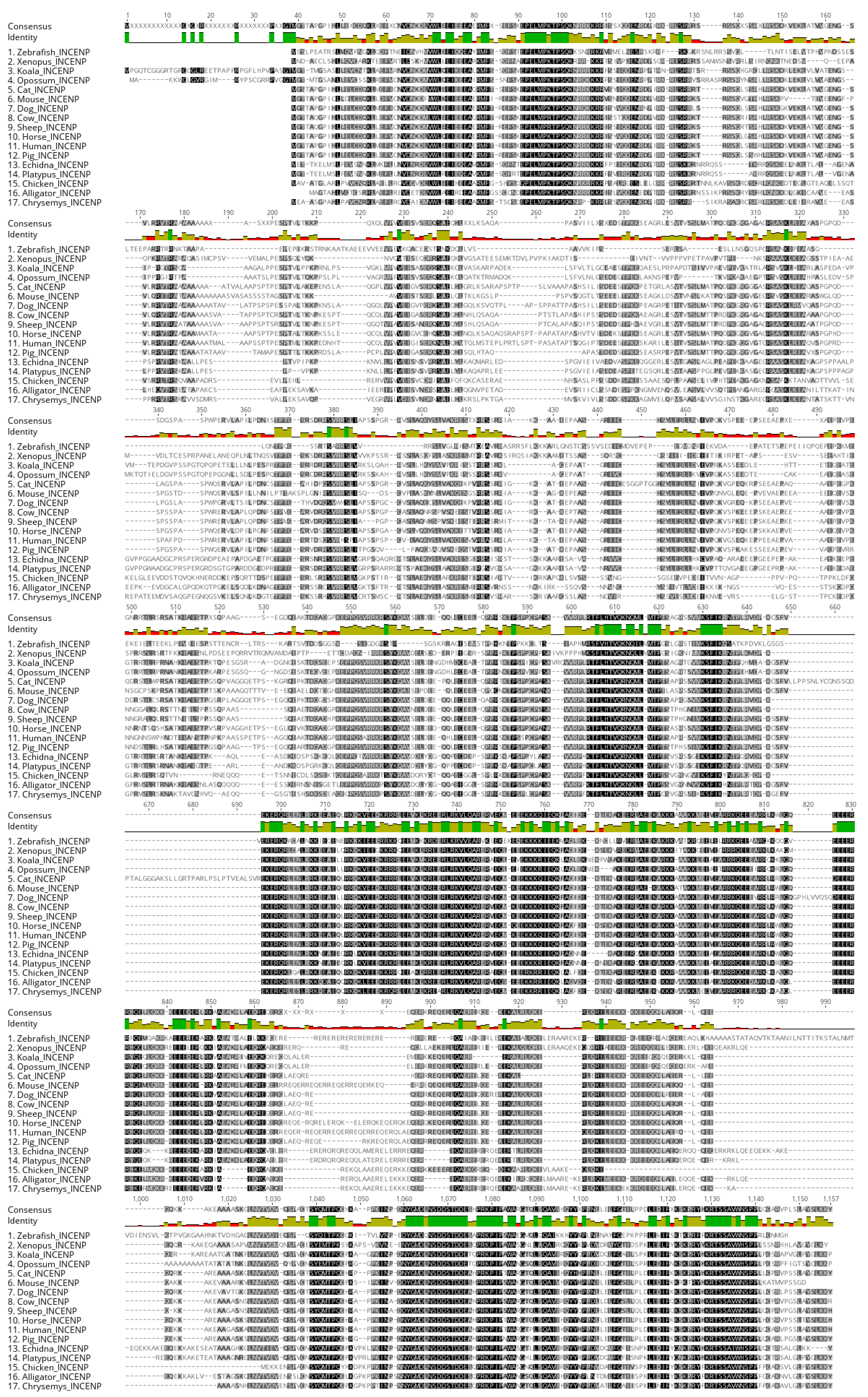 Genes 12 01320 g0a2 550