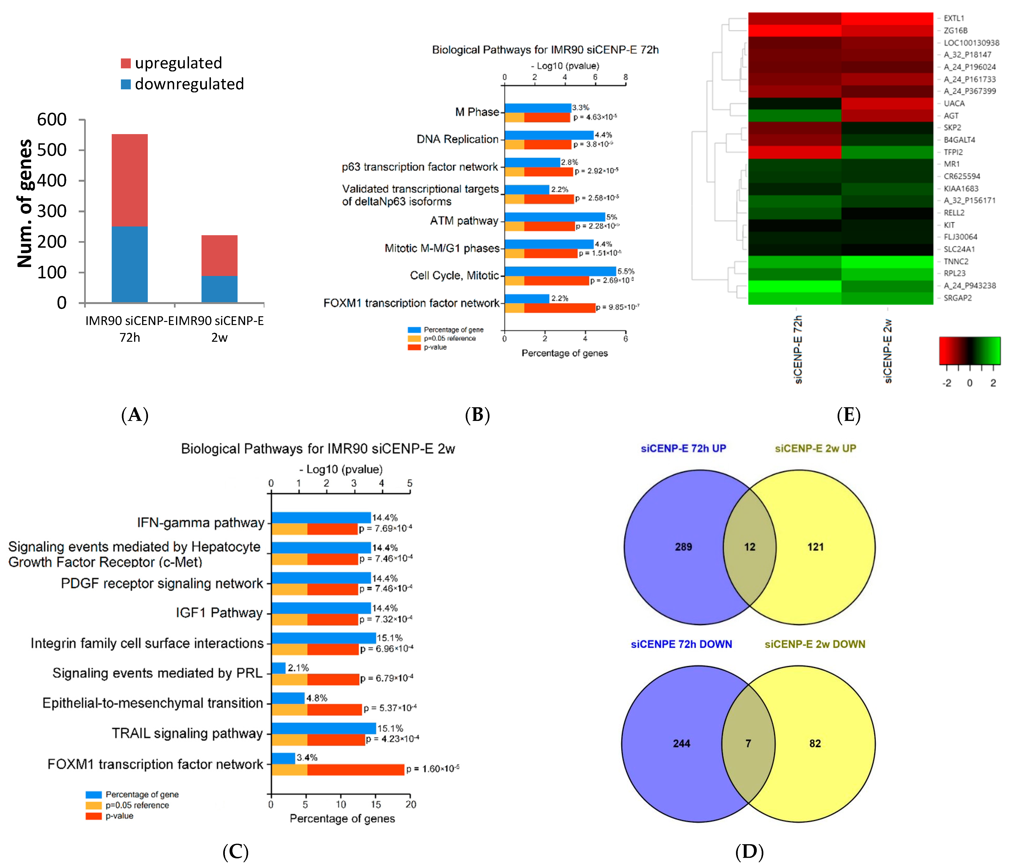 Genes 12 01322 g001 550