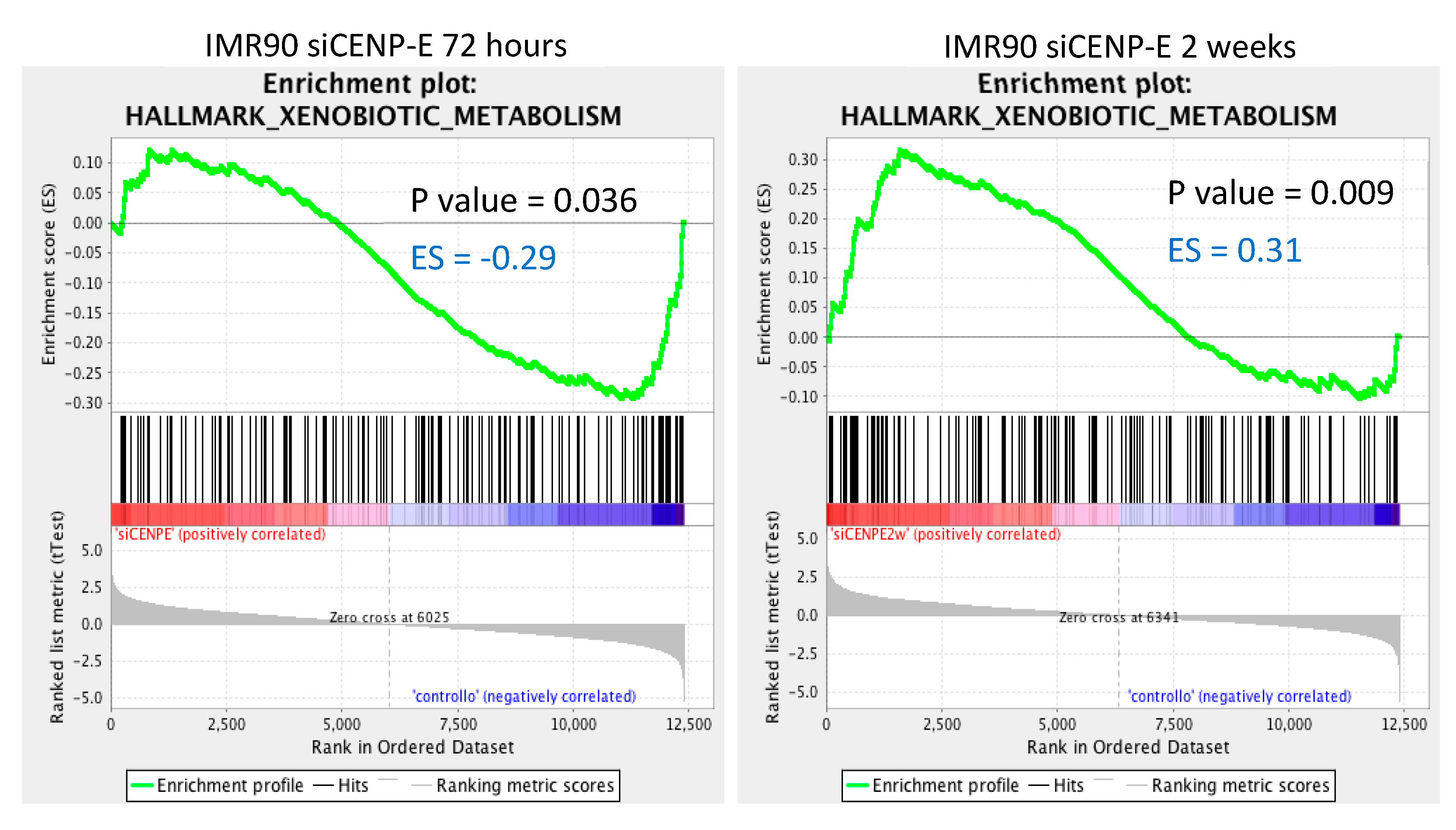 Genes 12 01322 g003 550
