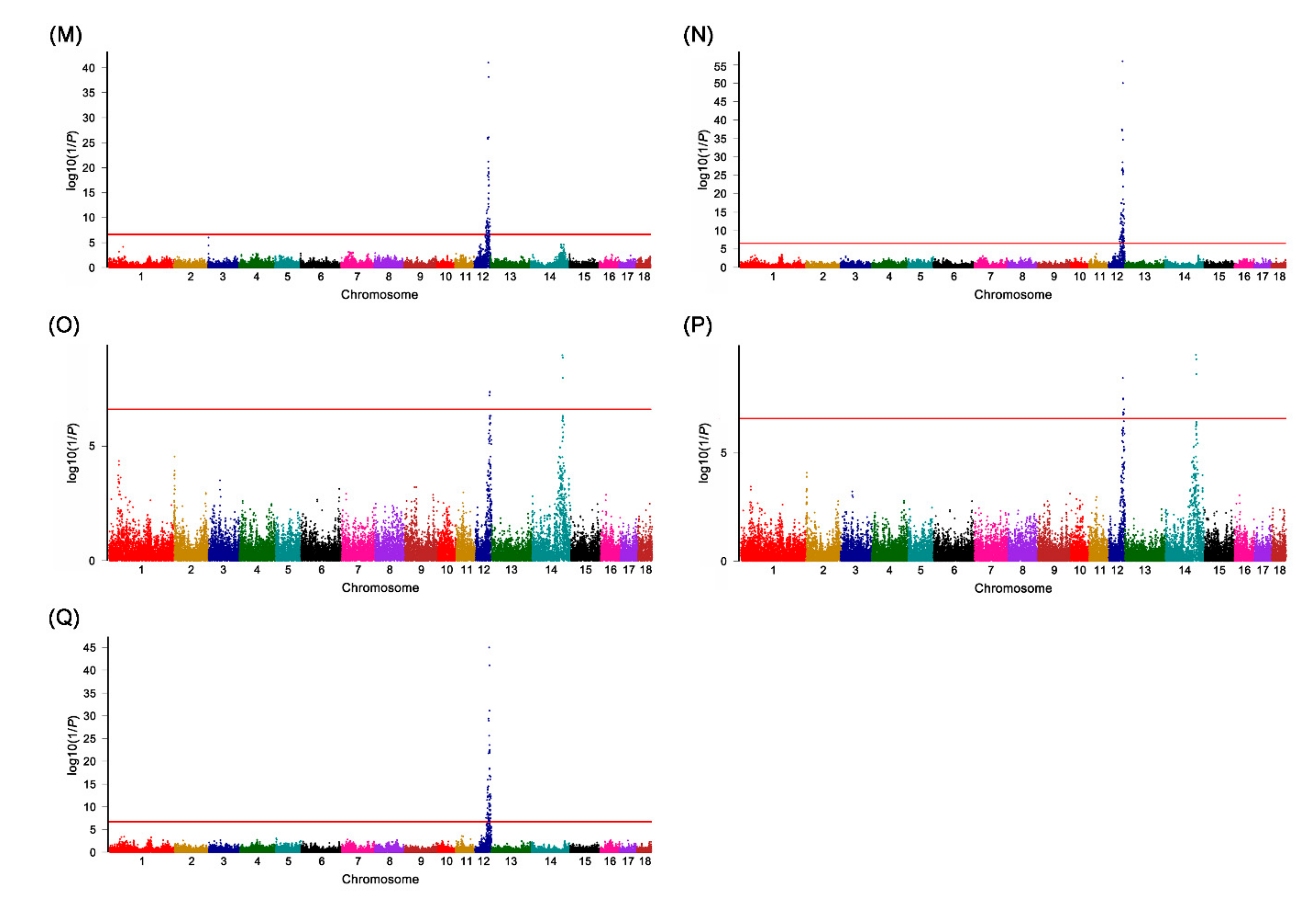 Genes 12 01323 g001b