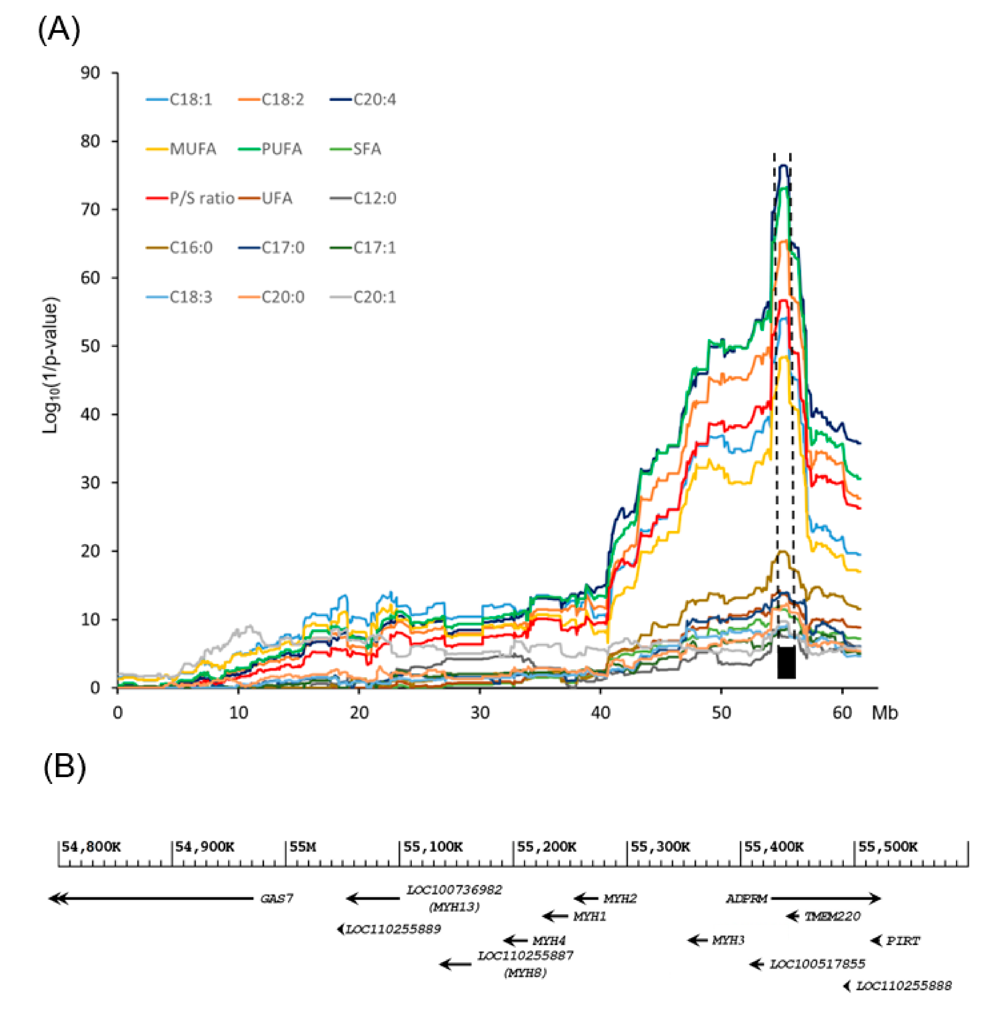 Genes 12 01323 g002