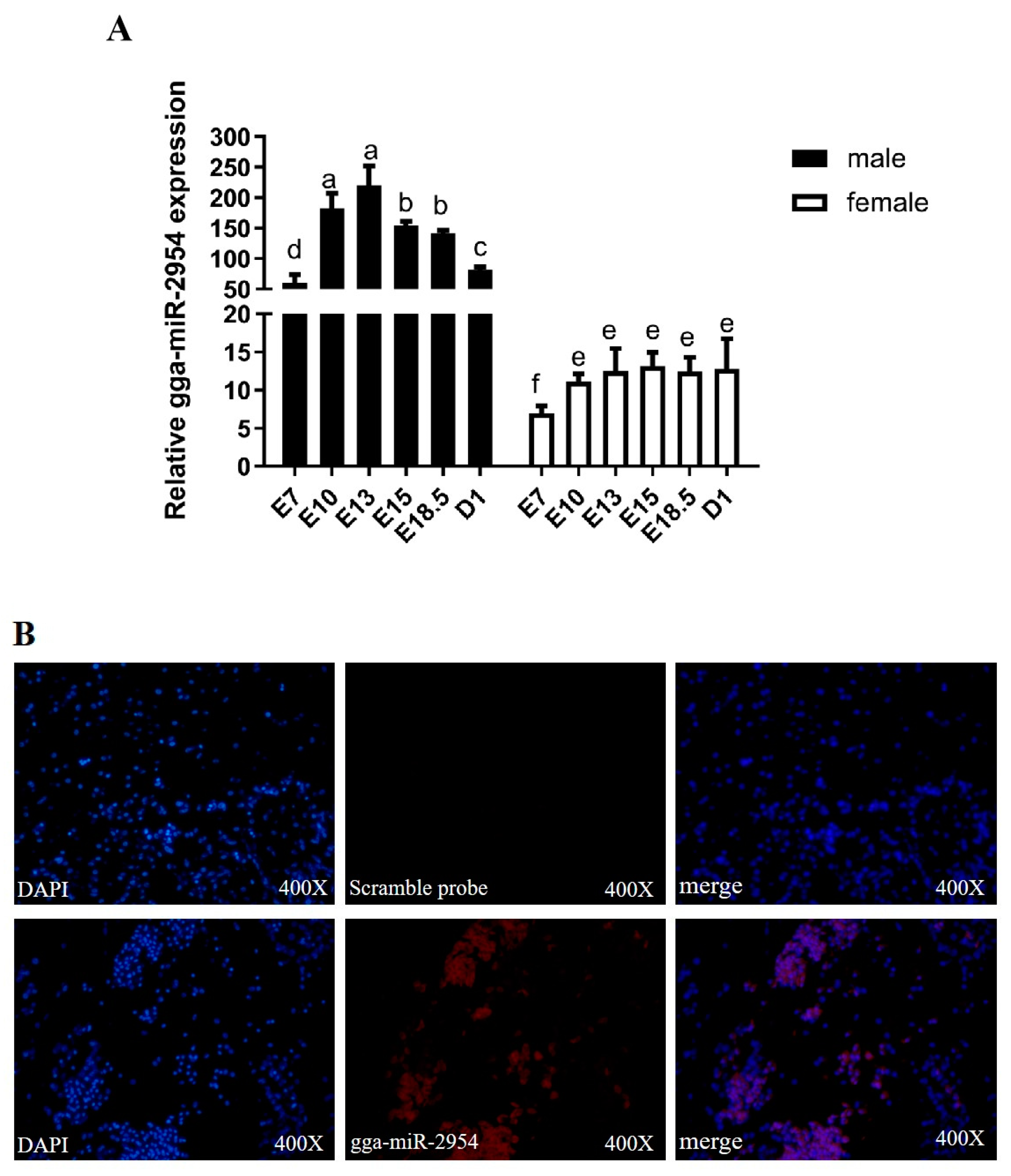 Genes 12 01325 g001 550