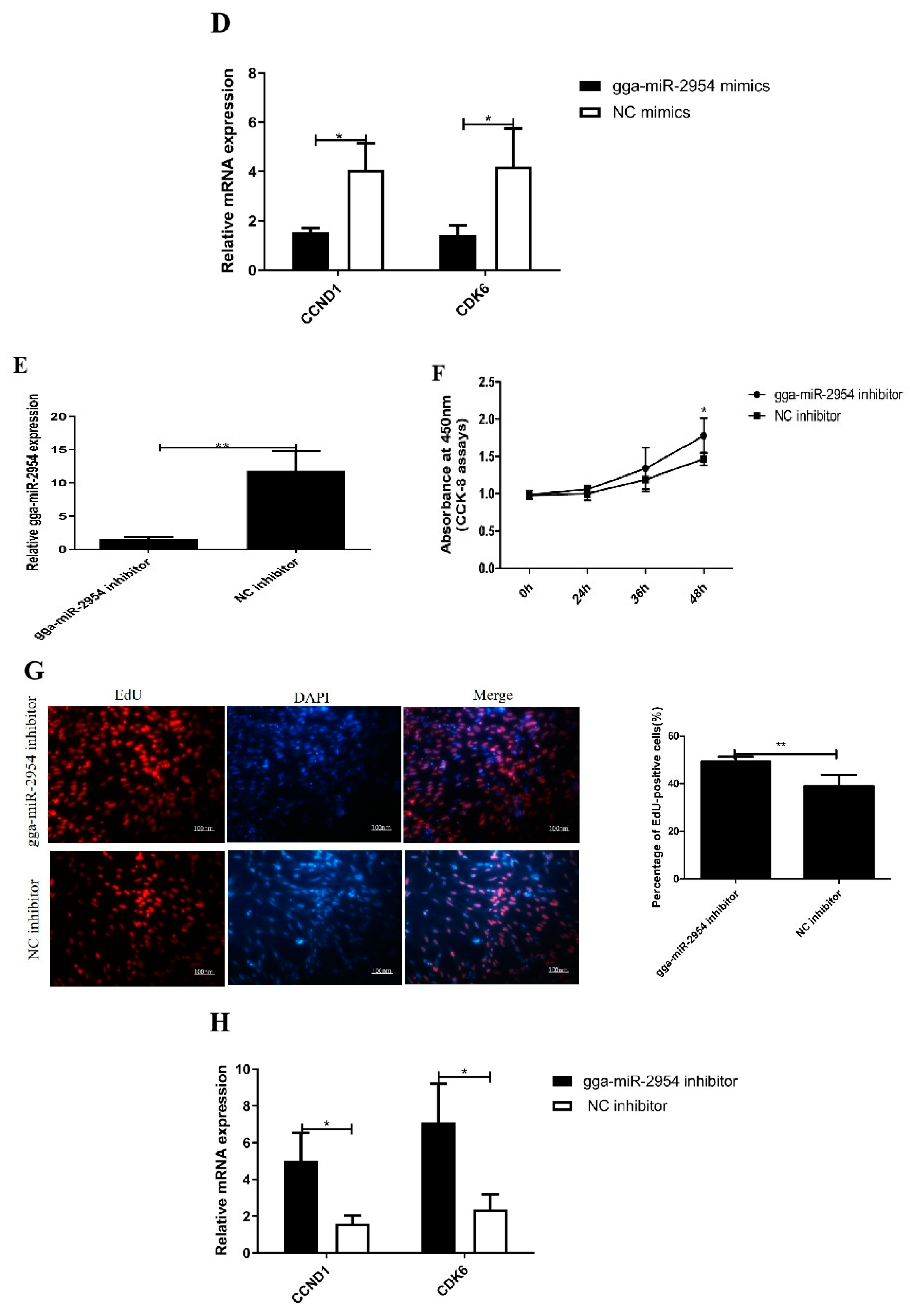 Genes 12 01325 g003b 550