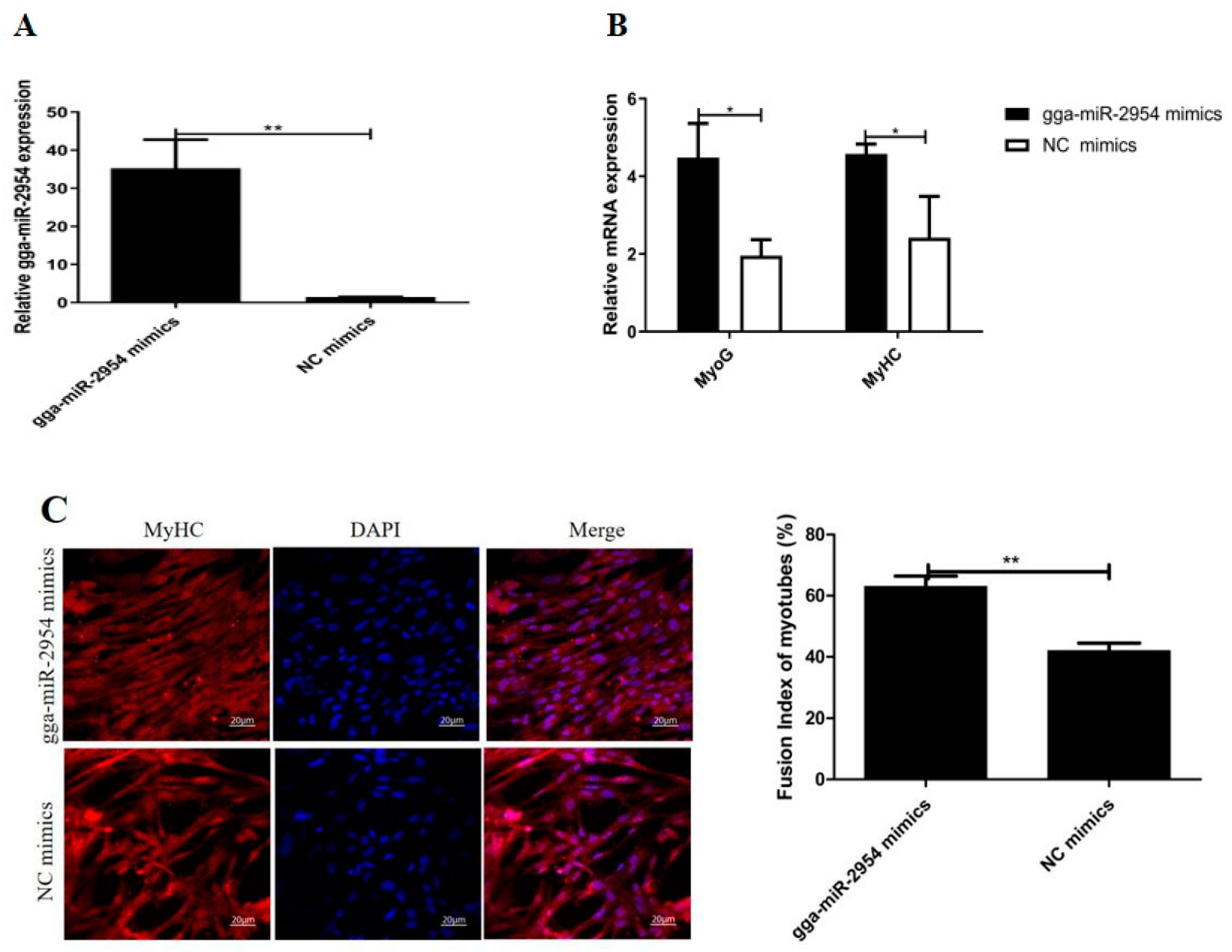 Genes 12 01325 g004a 550