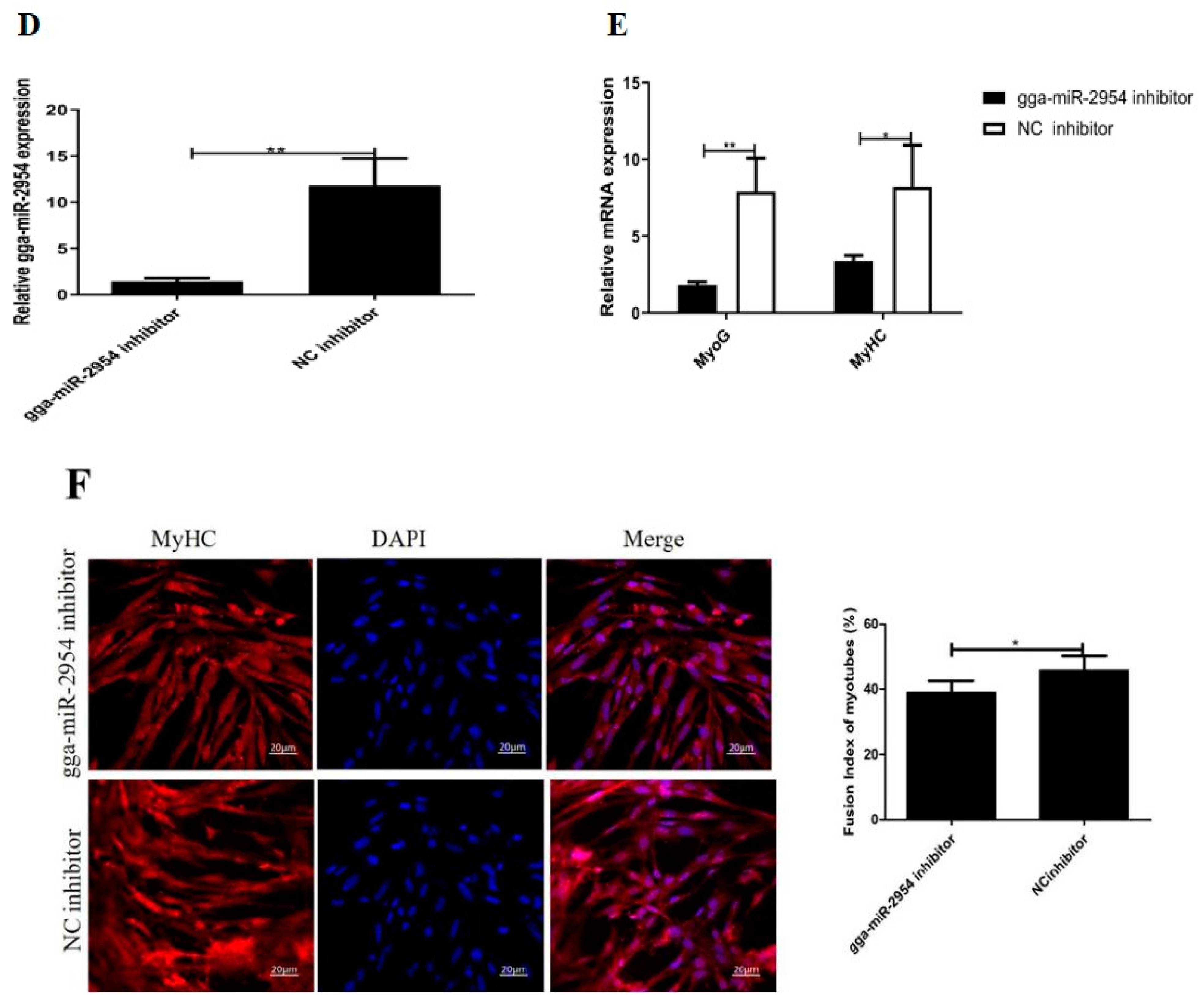 Genes 12 01325 g004b 550