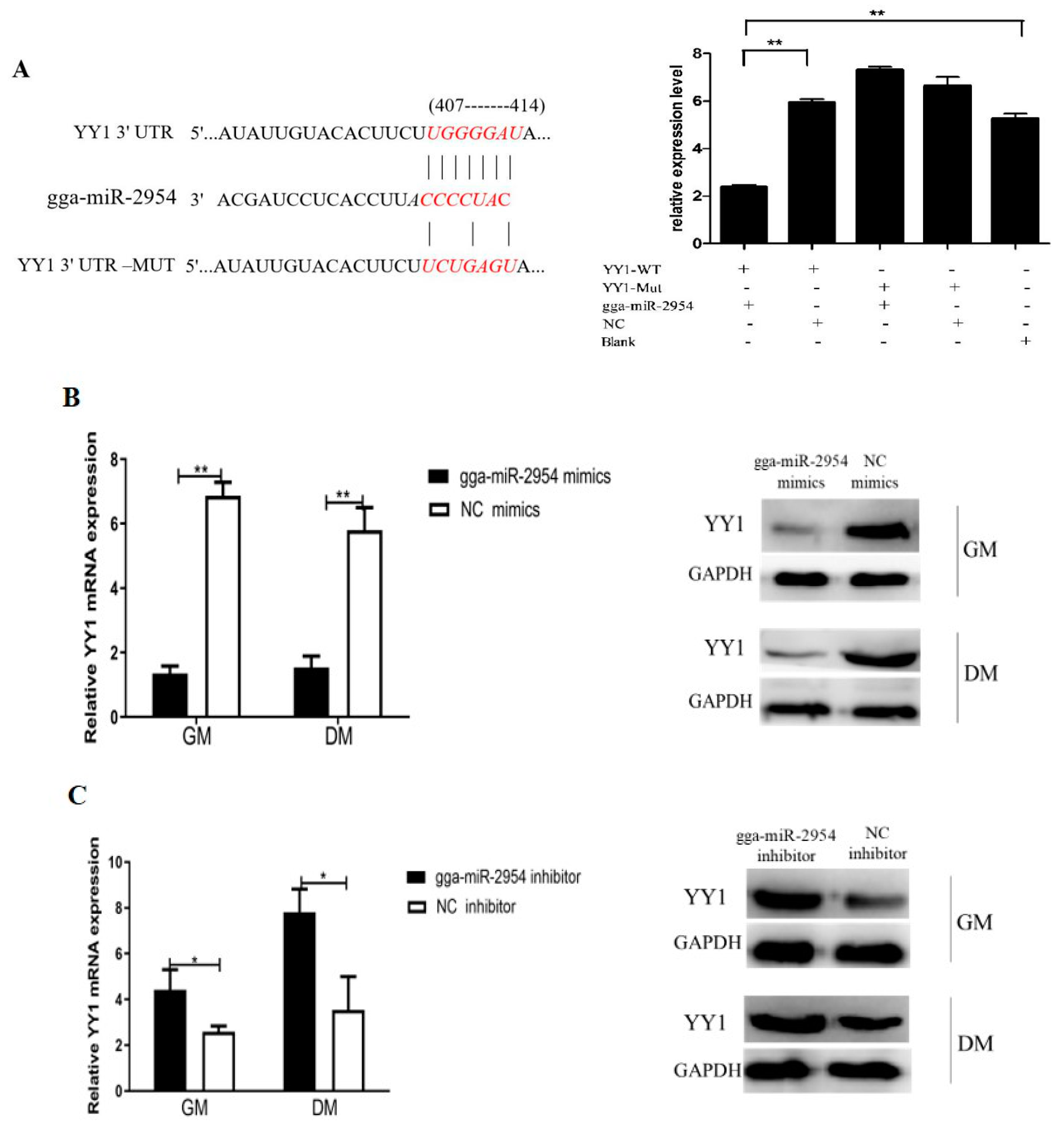 Genes 12 01325 g005 550