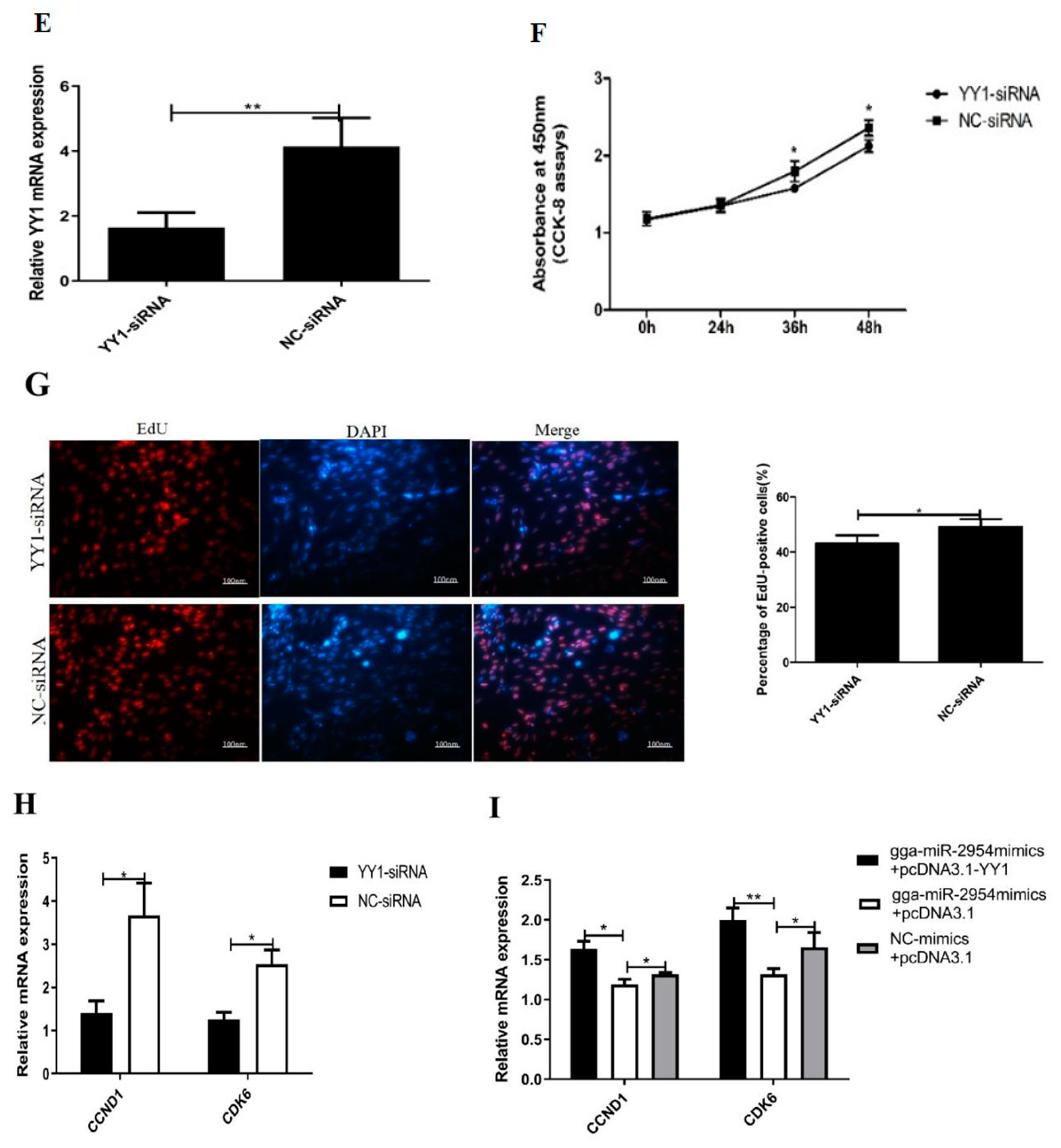 Genes 12 01325 g006b 550