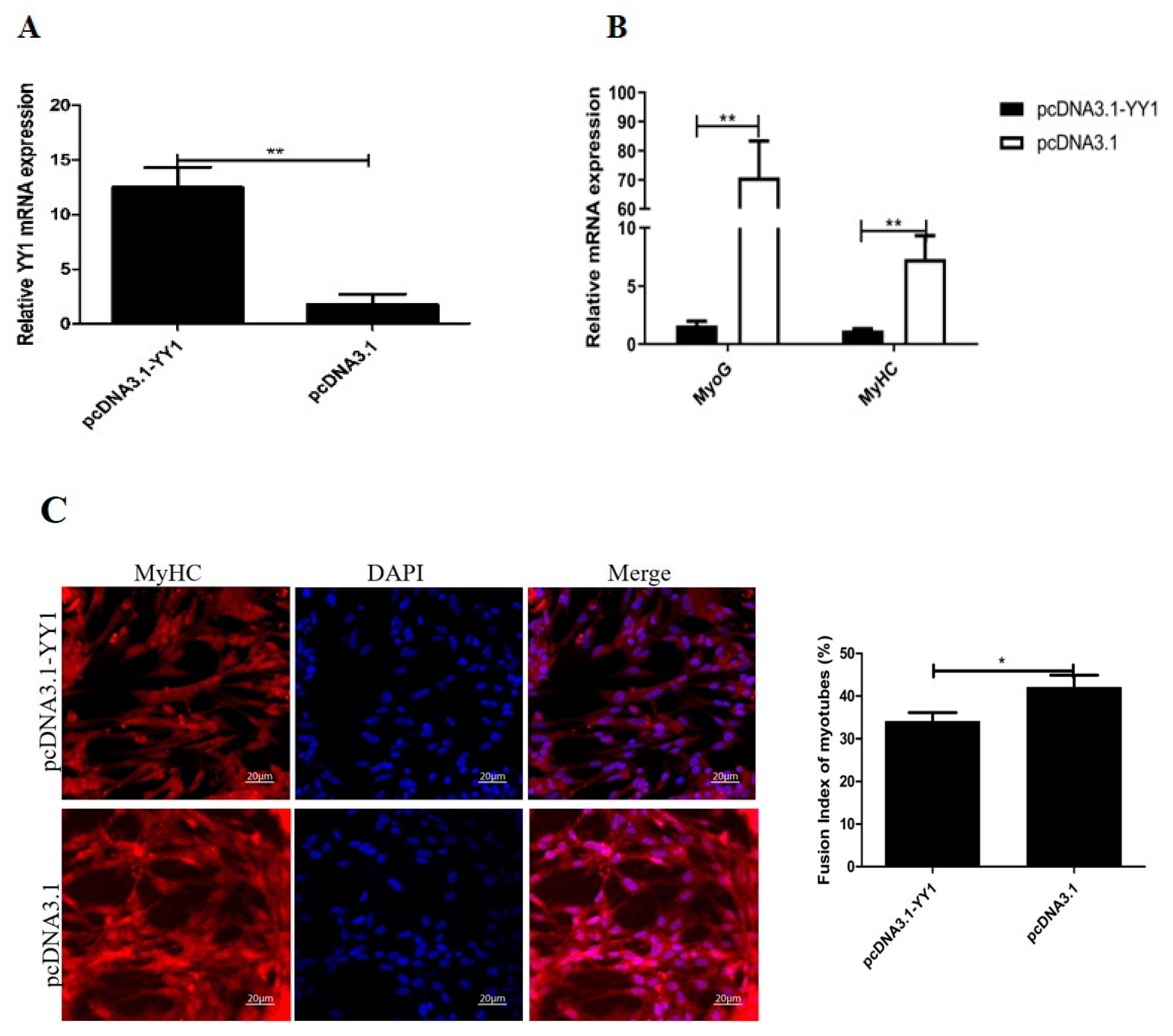 Genes 12 01325 g007a 550