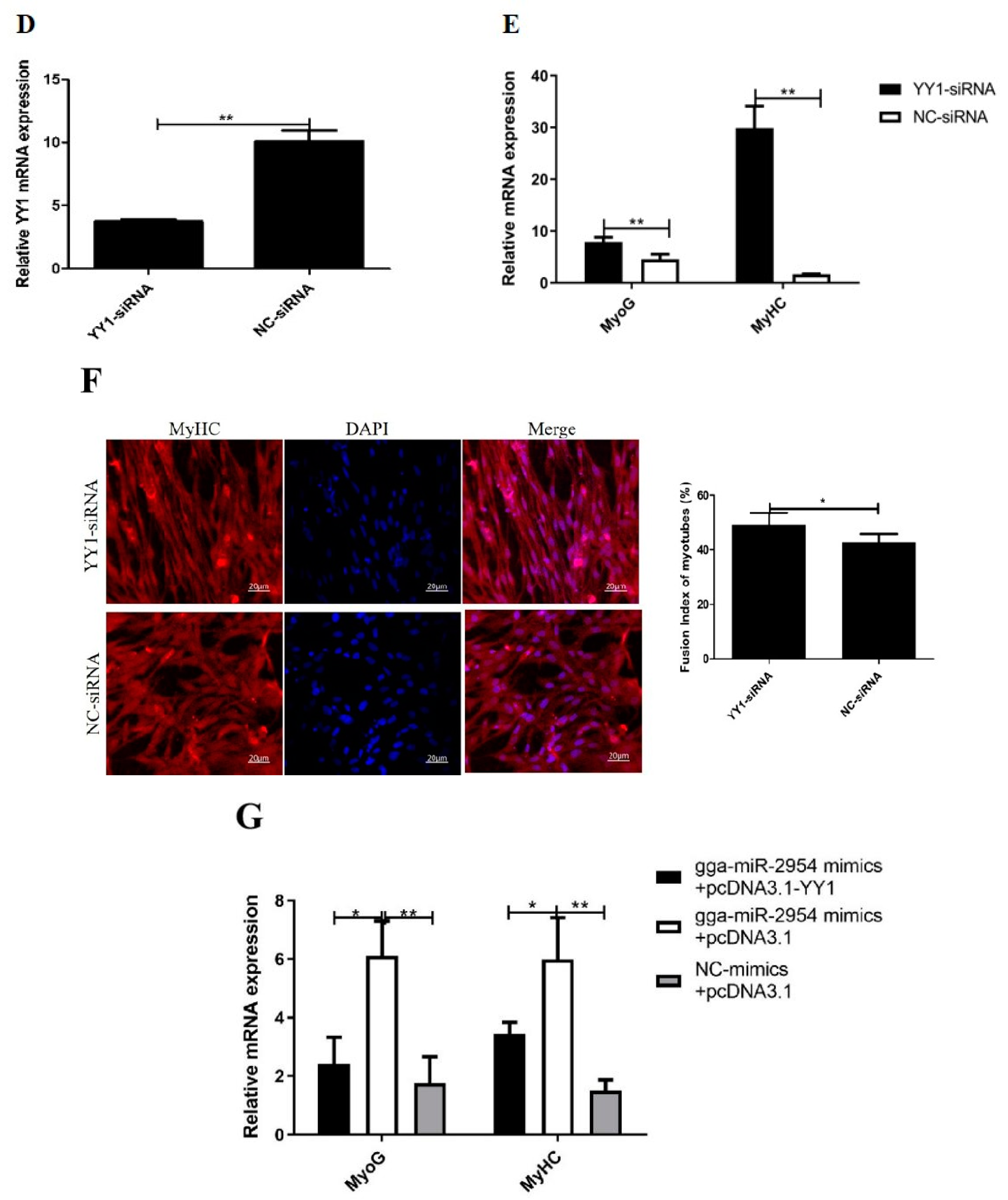 Genes 12 01325 g007b 550